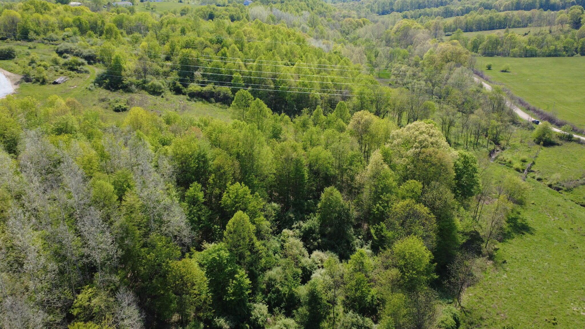 Township Rd 4, Frazeysburg, Ohio image 11