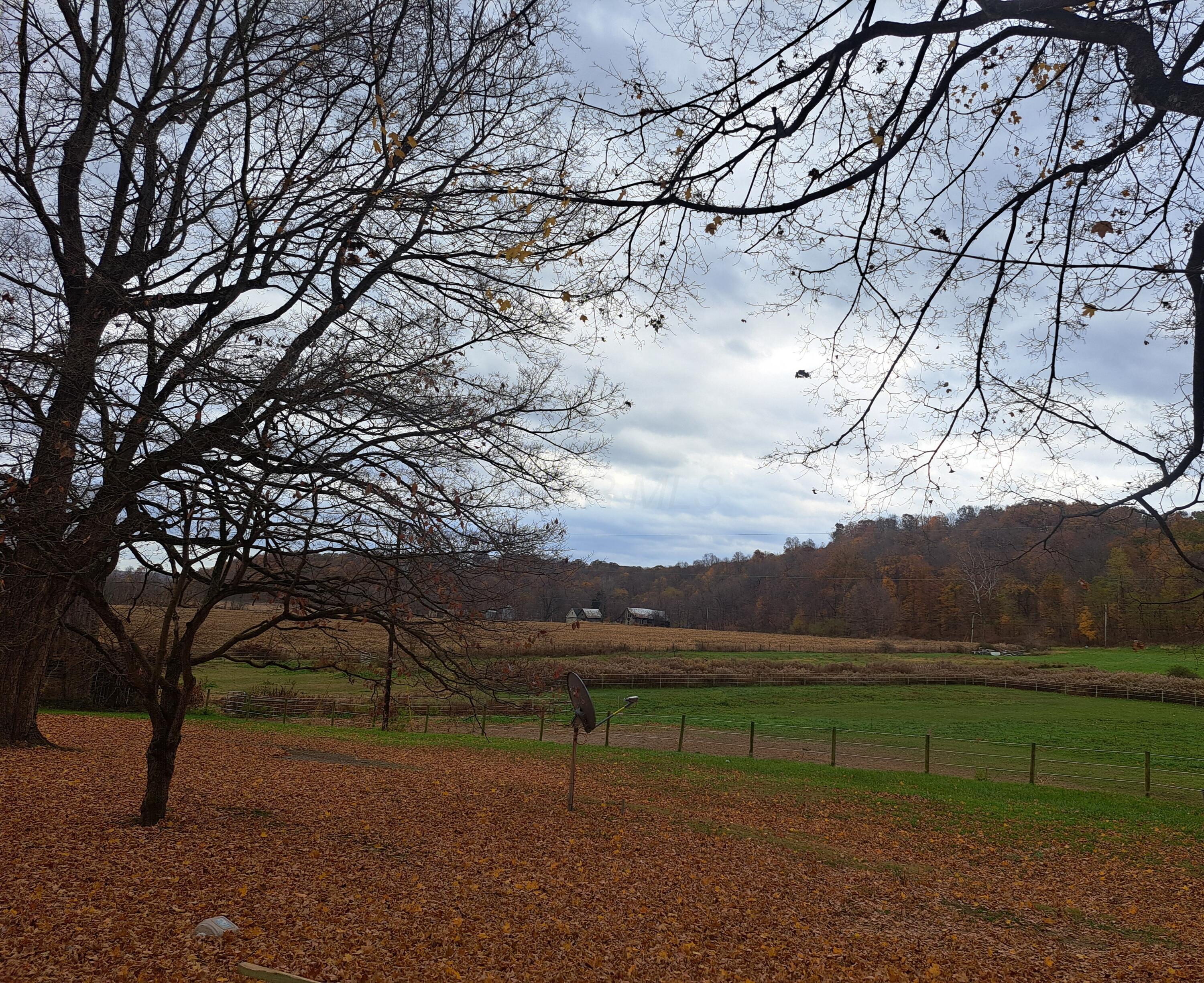 9962 Weaver Road, Utica, Ohio image 46