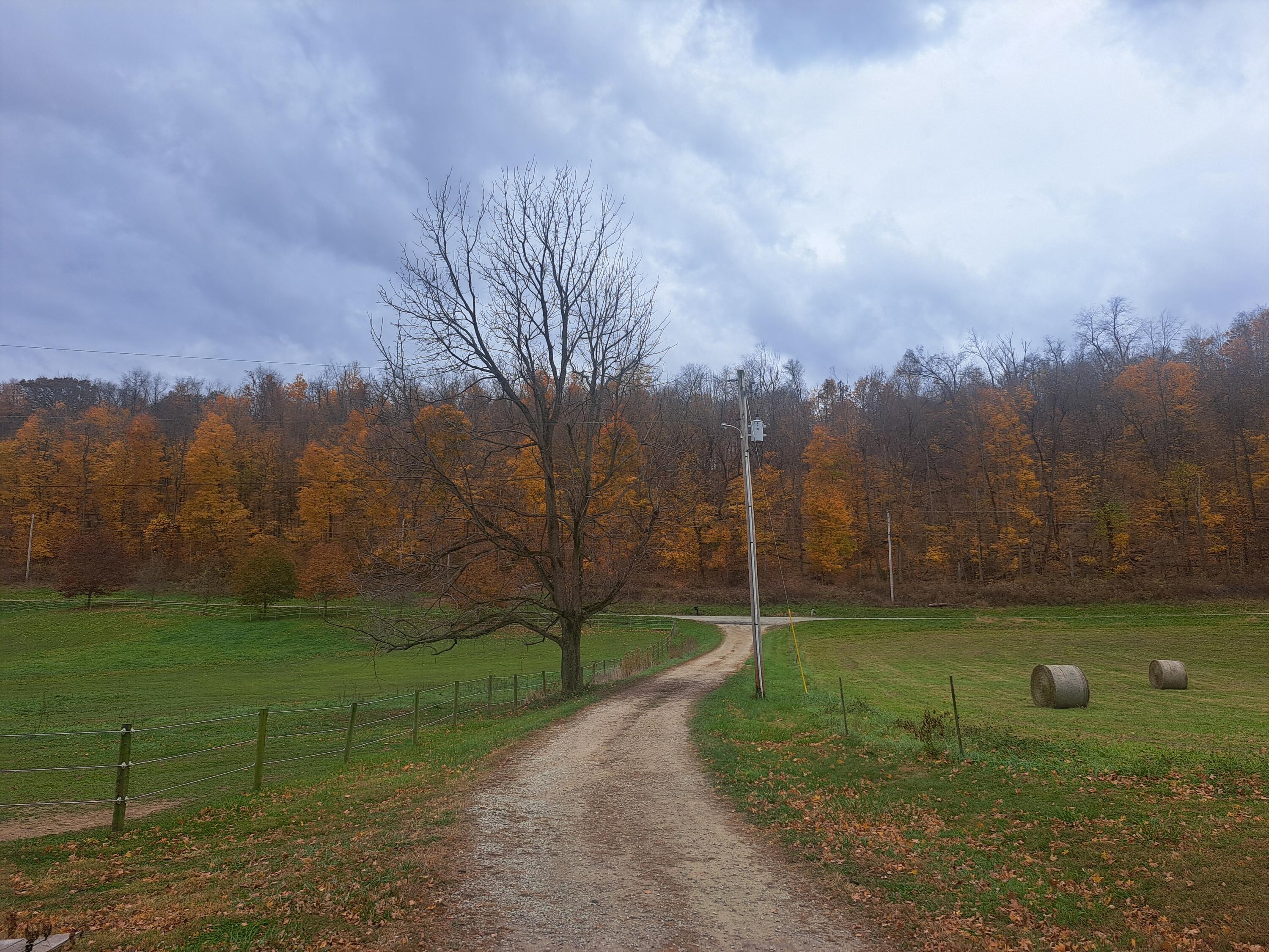 9962 Weaver Road, Utica, Ohio image 32