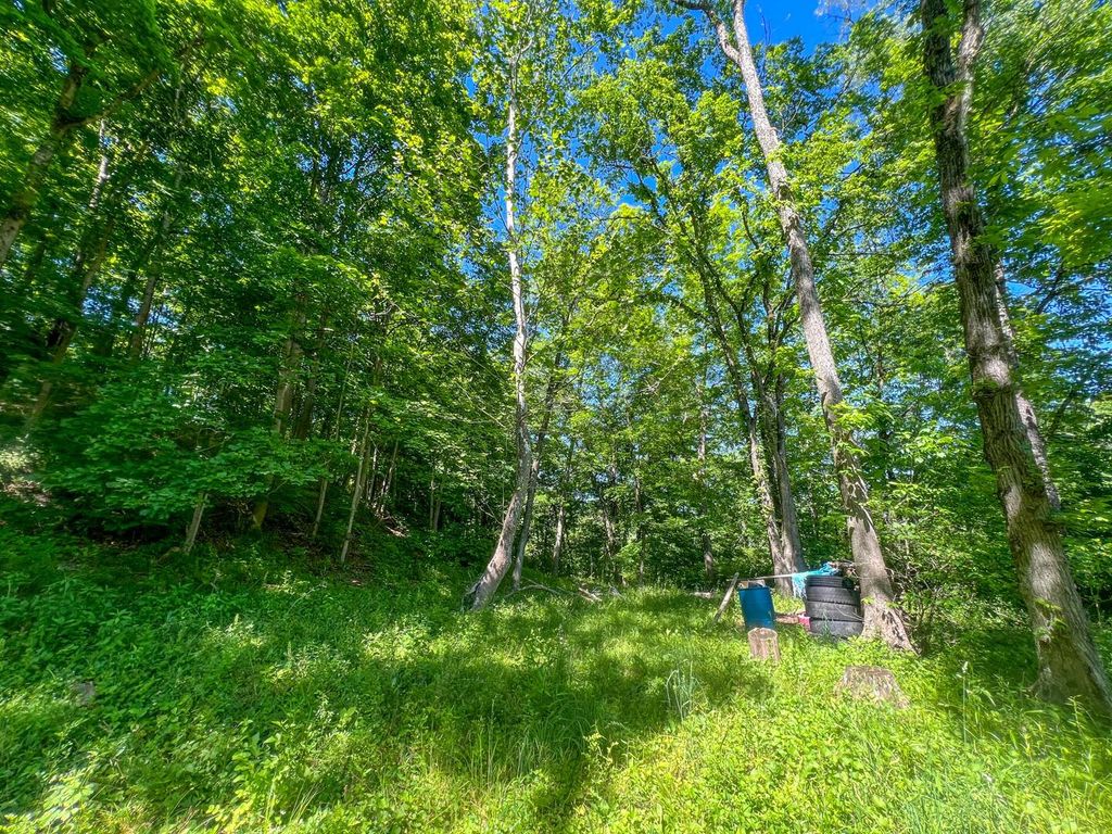 Photo of 0 Rush Run Road, Rayland, OH 43943 (MLS # 226023073)