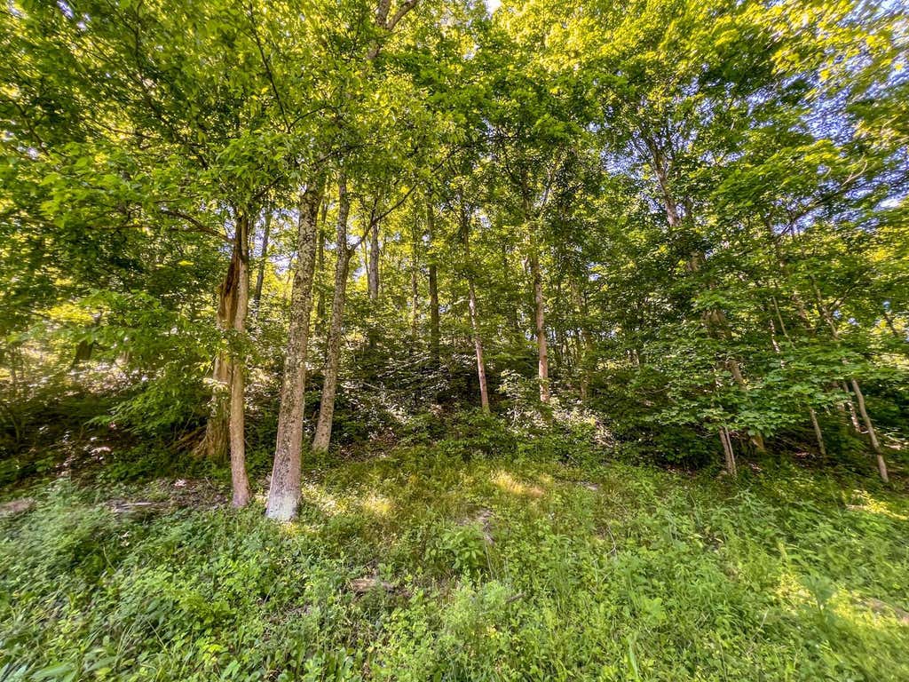 Photo of 0 Rush Run Road, Rayland, OH 43943 (MLS # 226023073)