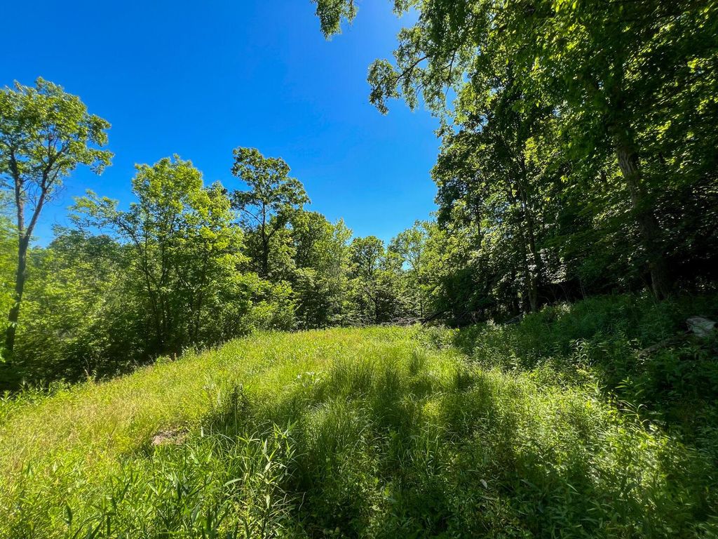 Photo of 0 Rush Run Road, Rayland, OH 43943 (MLS # 226023073)