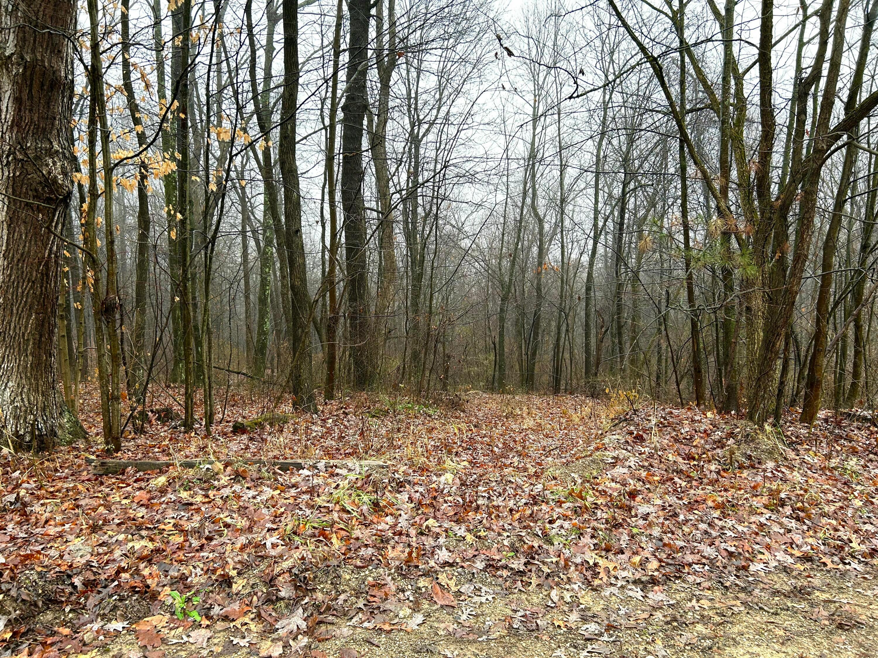 29870 Staats Road, Howard, Ohio image 2