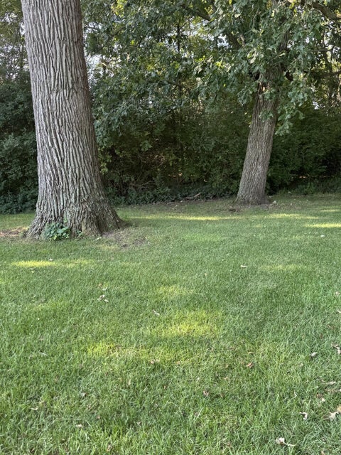 Tiny photo for 4175 State Route 29, West Jefferson, OH 43162 (MLS # 226037948)