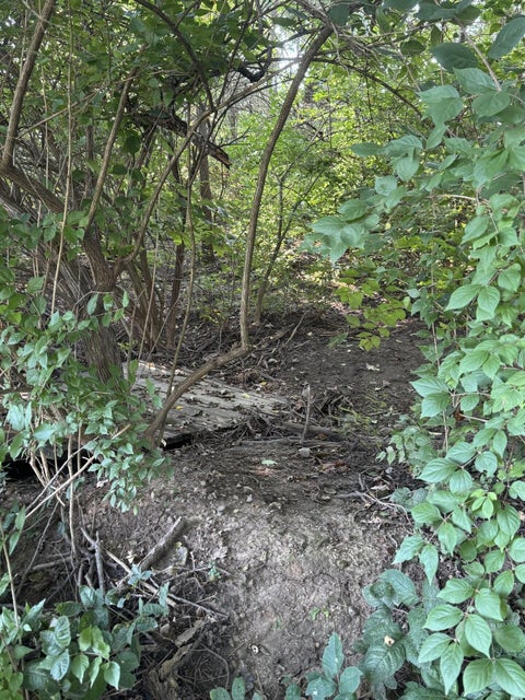 Tiny photo for 4175 State Route 29, West Jefferson, OH 43162 (MLS # 226037948)