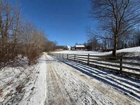 Photo of 540 Flagdale Road S, Junction City, OH 43748 (MLS # 226001941)