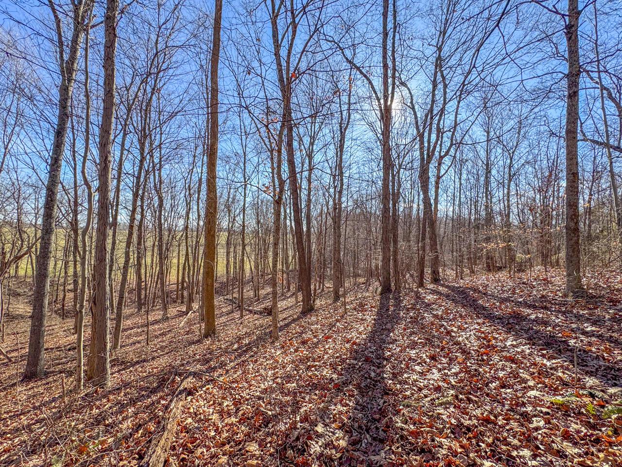 E Weaver Church Road, Albany, Ohio image 7