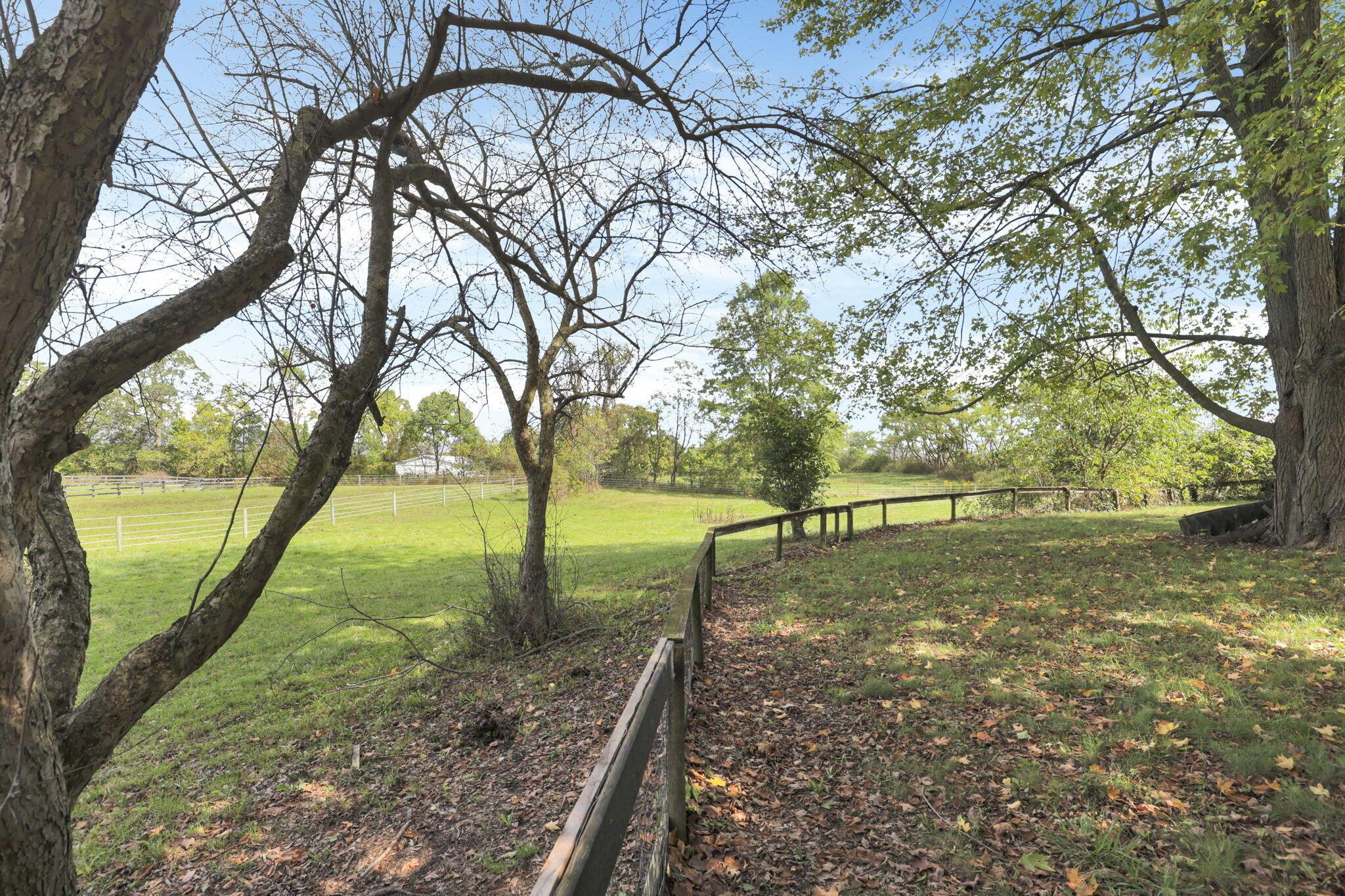 8750 Morse Road, Pataskala, Ohio image 16