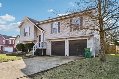 Tiny photo for 2535 Bridlewood Court, Obetz, OH 43207 (MLS # 226005531)