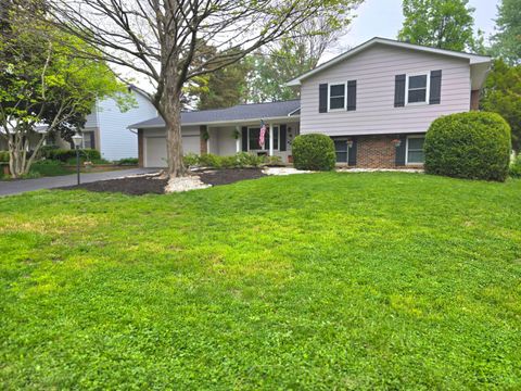 Photo of 2428 Merbrook Road, Columbus, OH 43235 (MLS # 226014117)