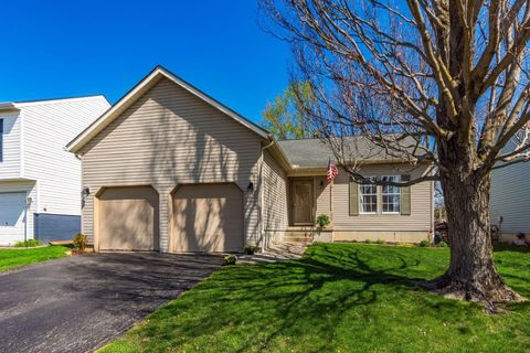 926 Cherry Bud Drive Columbus OH 43228