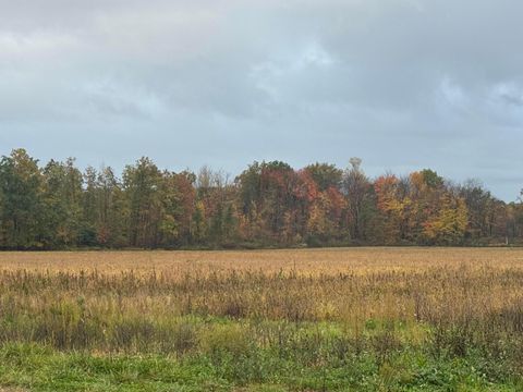 Vacant Land For Sale - Lampson Road<br/> Austinburg, OH 44010