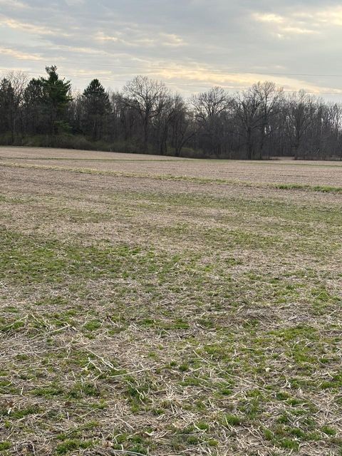 Vacant Land For Sale - Longshore Road<br/> Delaware County, Sunbury, OH 43074