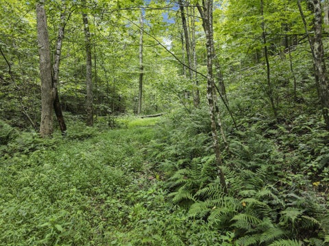 Photo of 23584 Conrad Road, South Bloomingville, OH 43152 (MLS # 226036945)