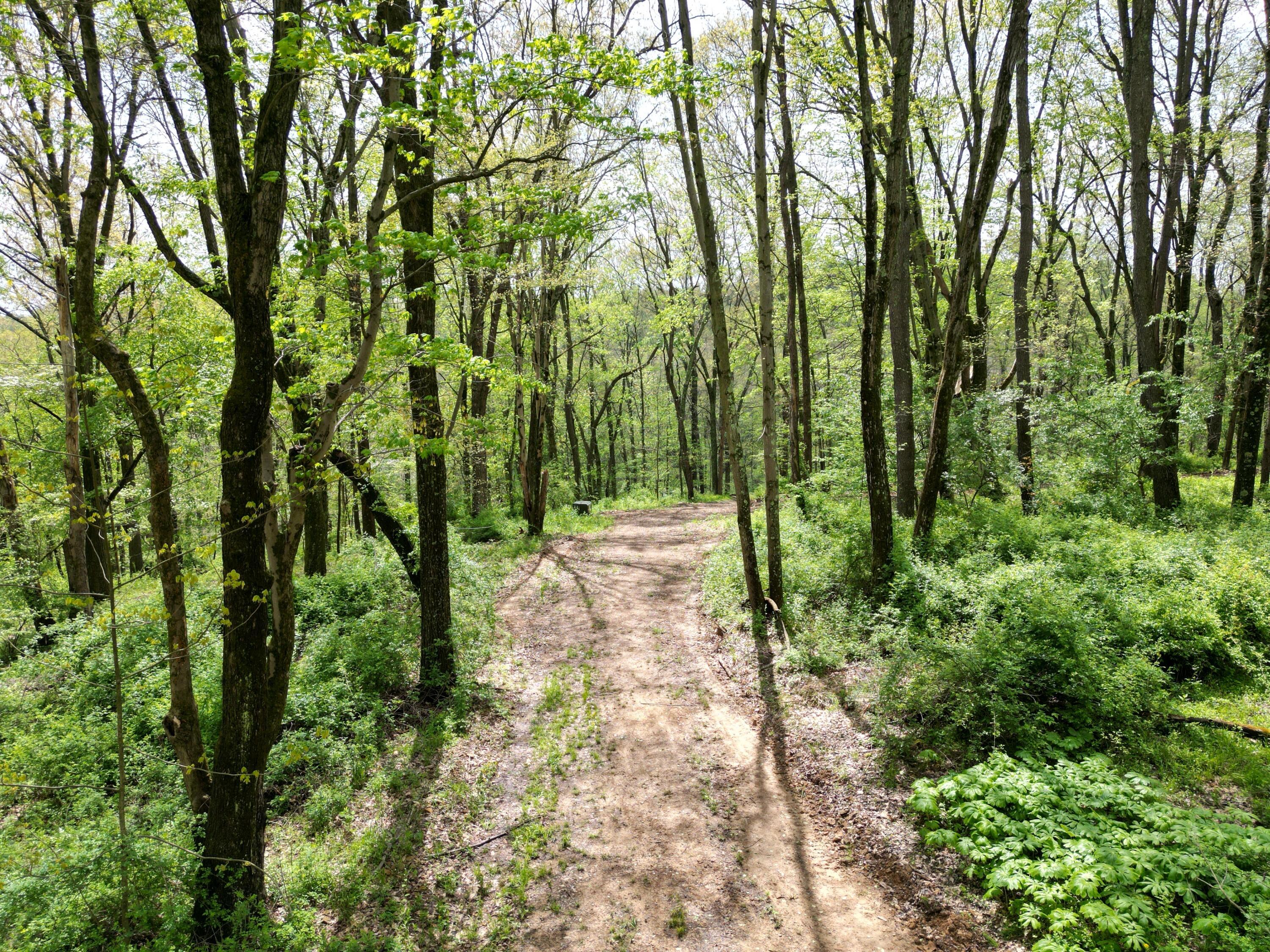 Austin Rd #2, Howard, Ohio image 6