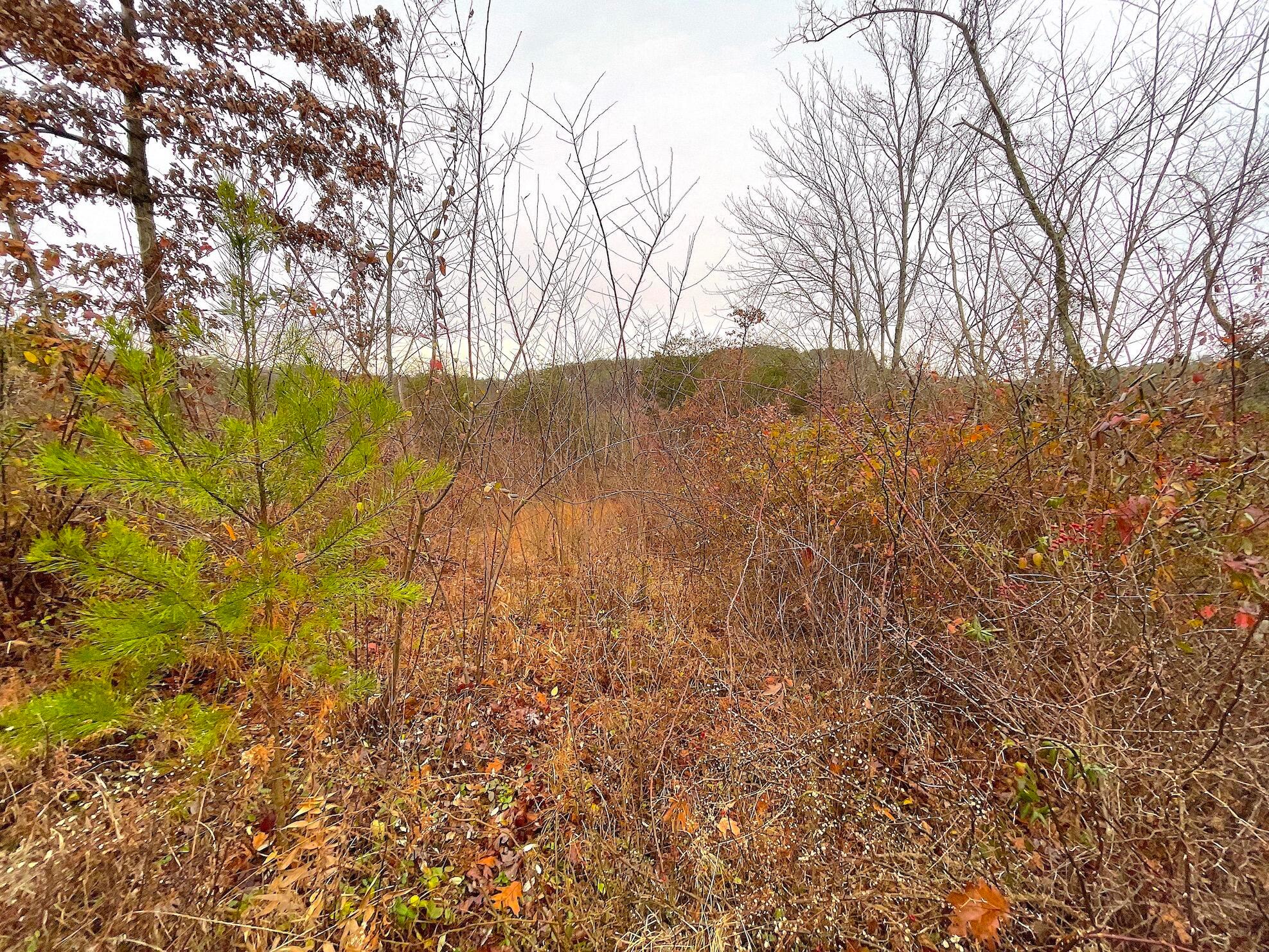 Swango Road, Bidwell, Ohio image 8