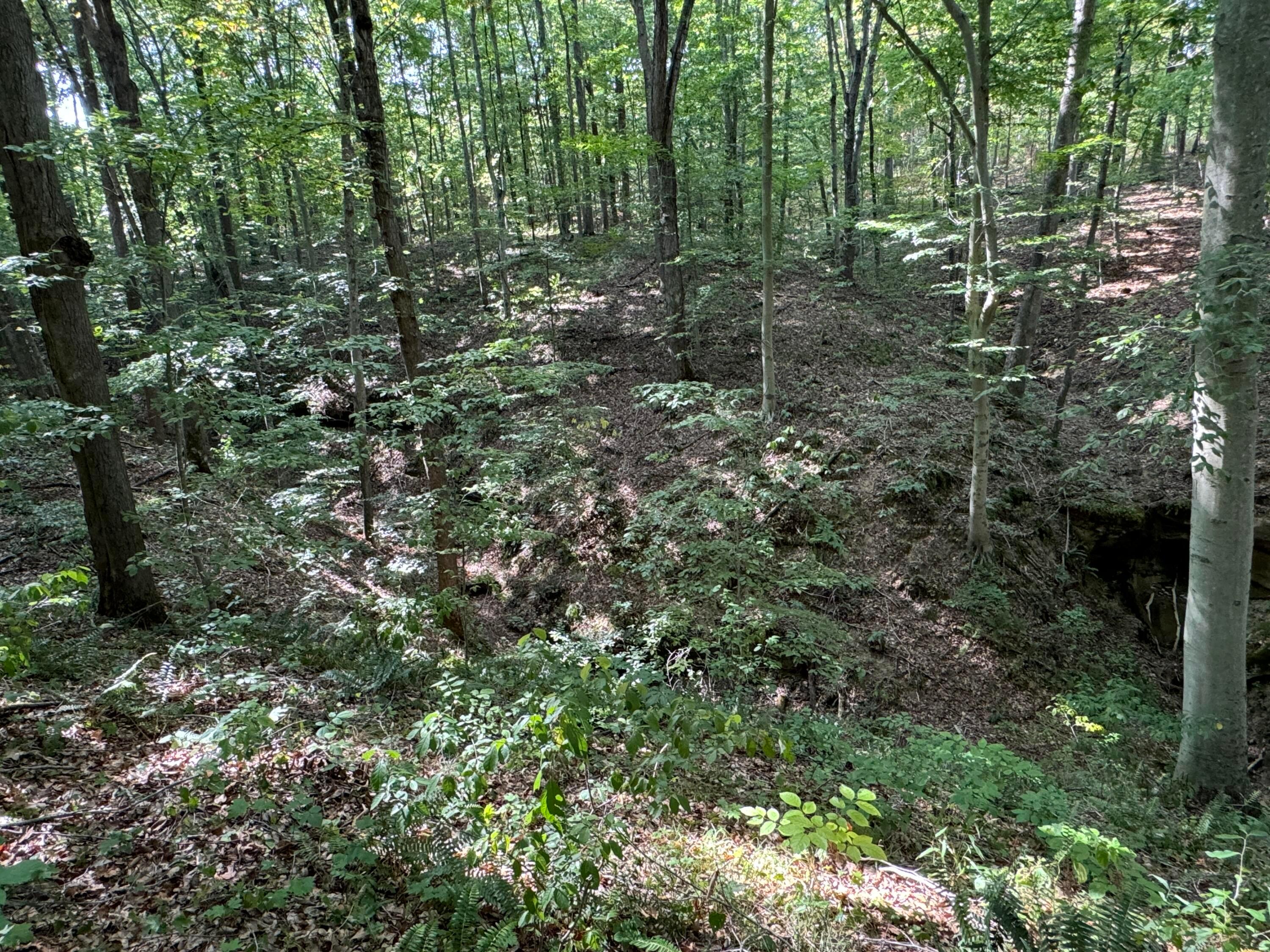 41455 State Route 684 #TRACT 11 ALBANY WOODS, Albany, Ohio image 35