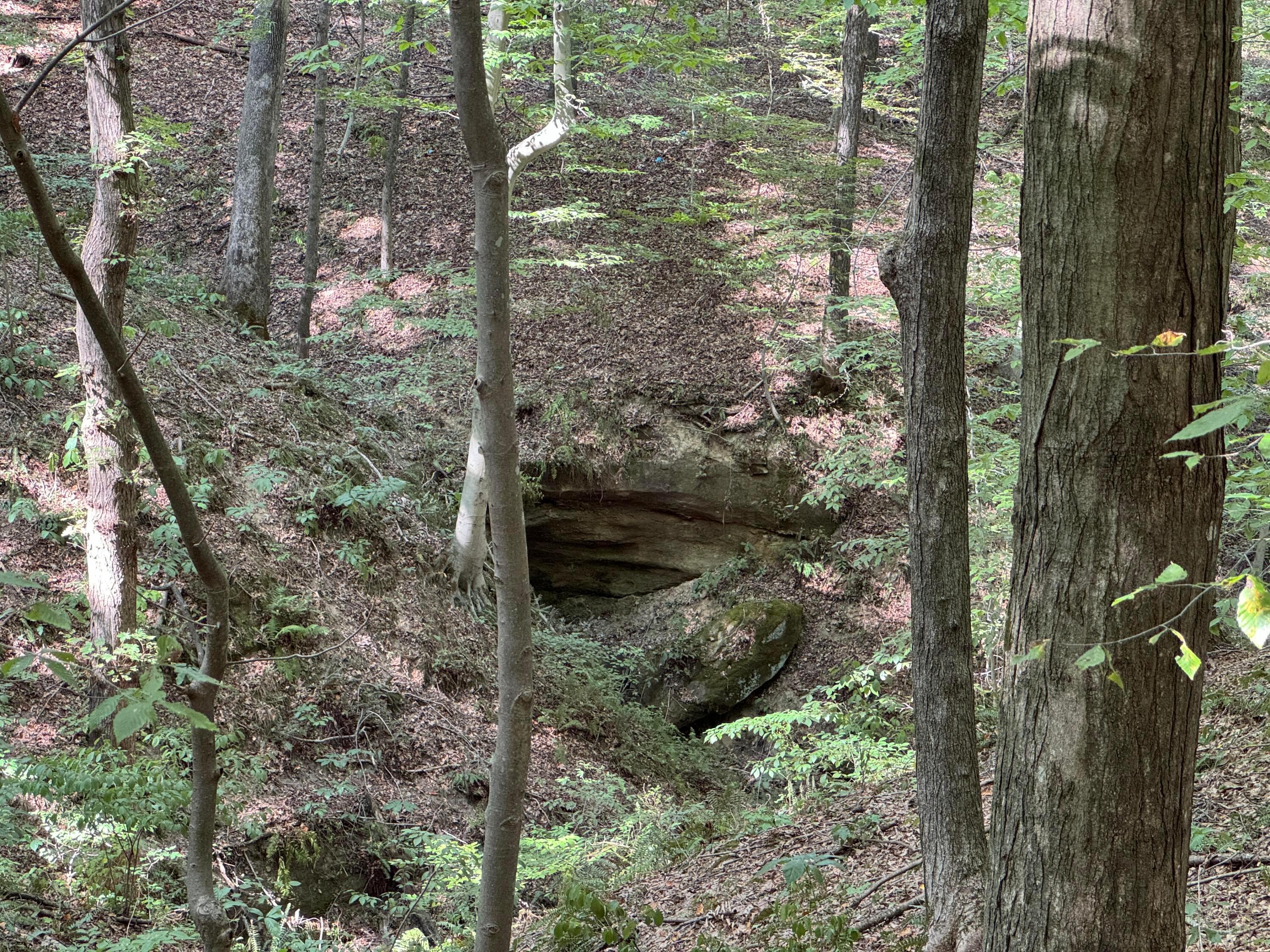 41455 State Route 684 #TRACT 11 ALBANY WOODS, Albany, Ohio image 31