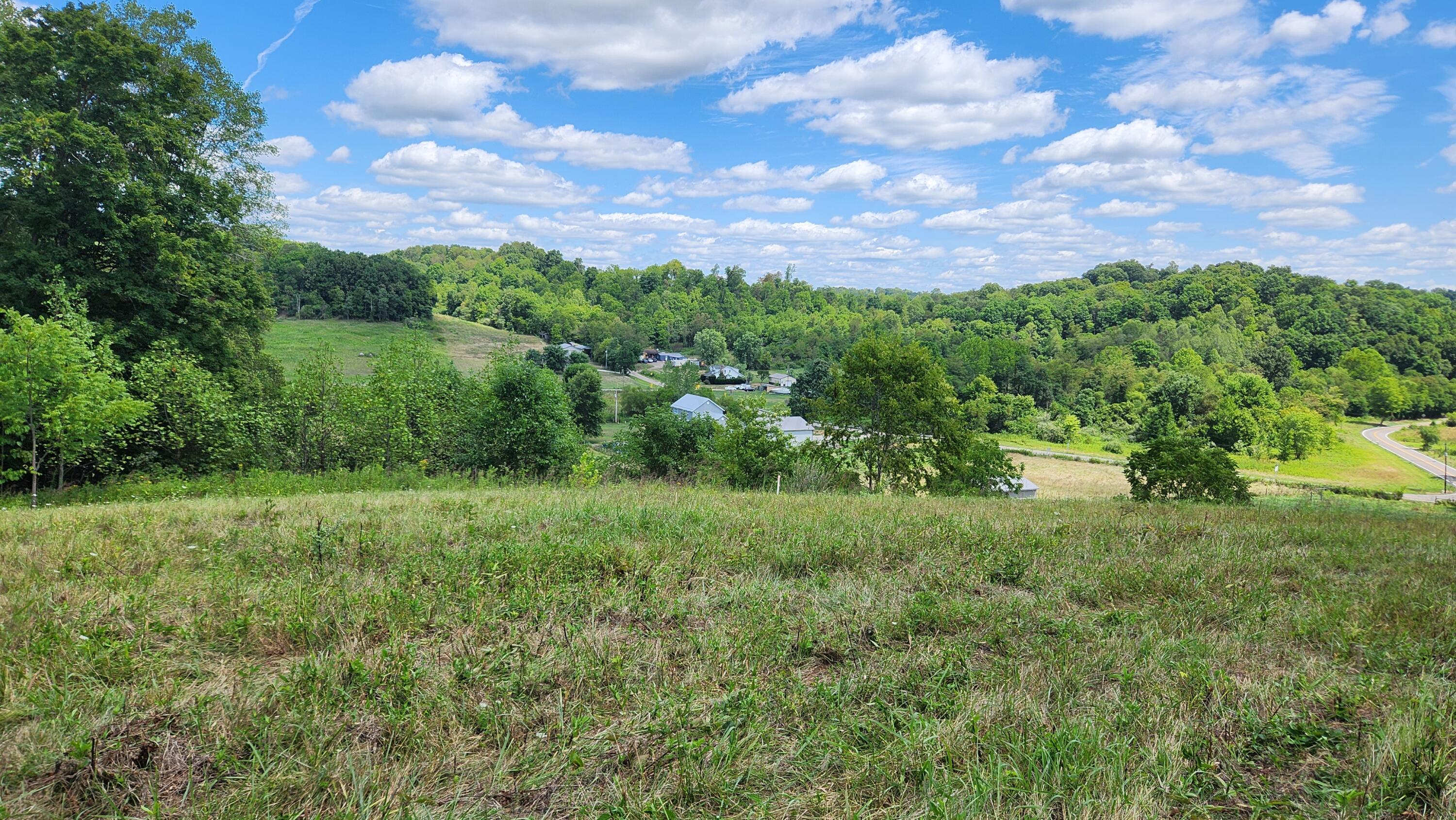 41455 State Route 684 #TRACT 11 ALBANY WOODS, Albany, Ohio image 17