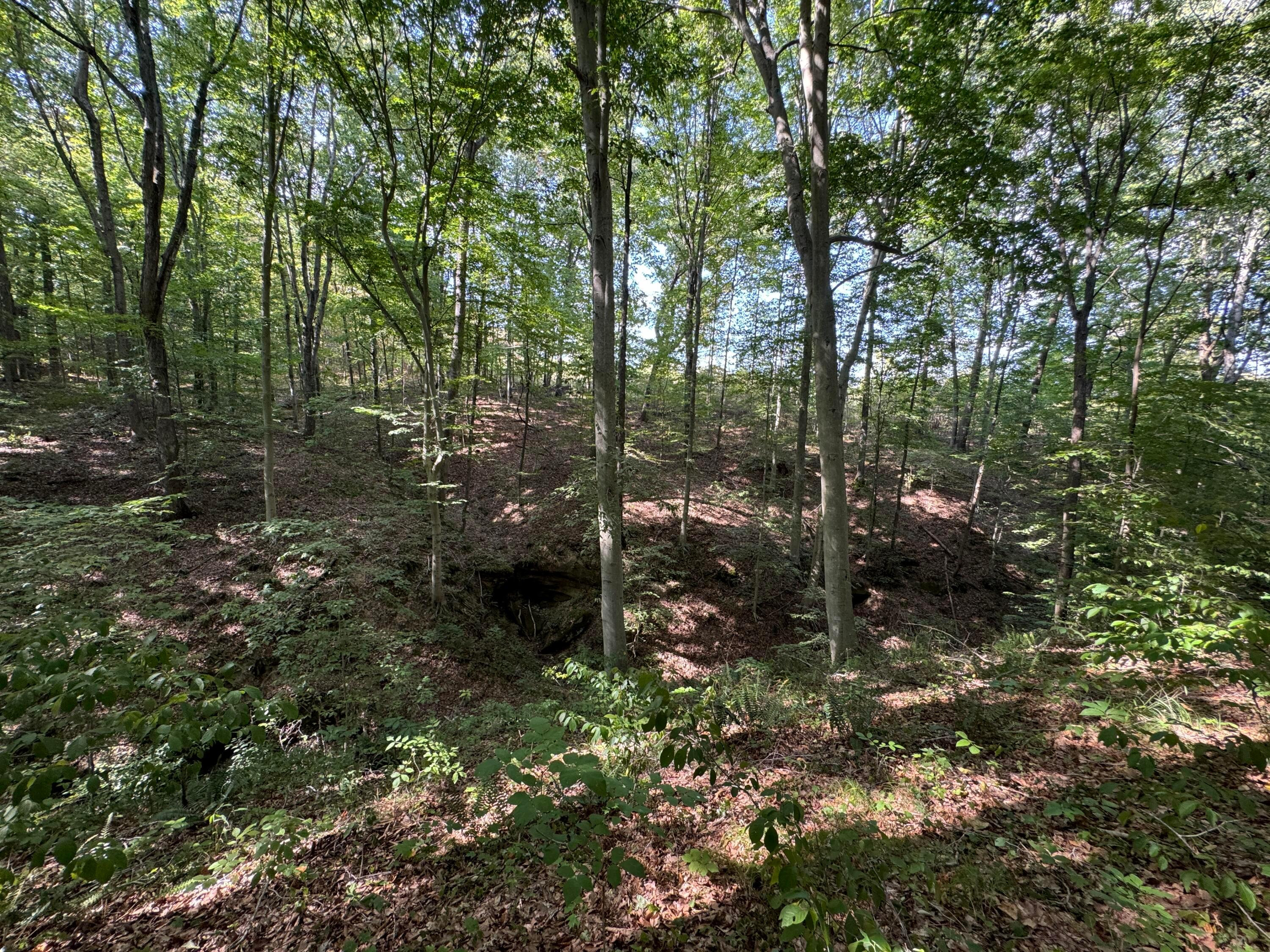41455 State Route 684 #TRACT 11 ALBANY WOODS, Albany, Ohio image 2