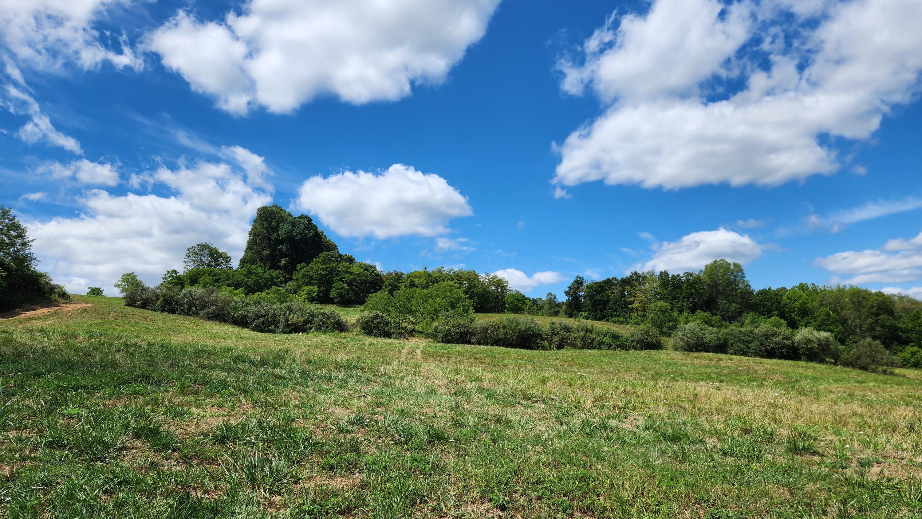 41455 State Route 684 #TRACT 11 ALBANY WOODS, Albany, Ohio image 7