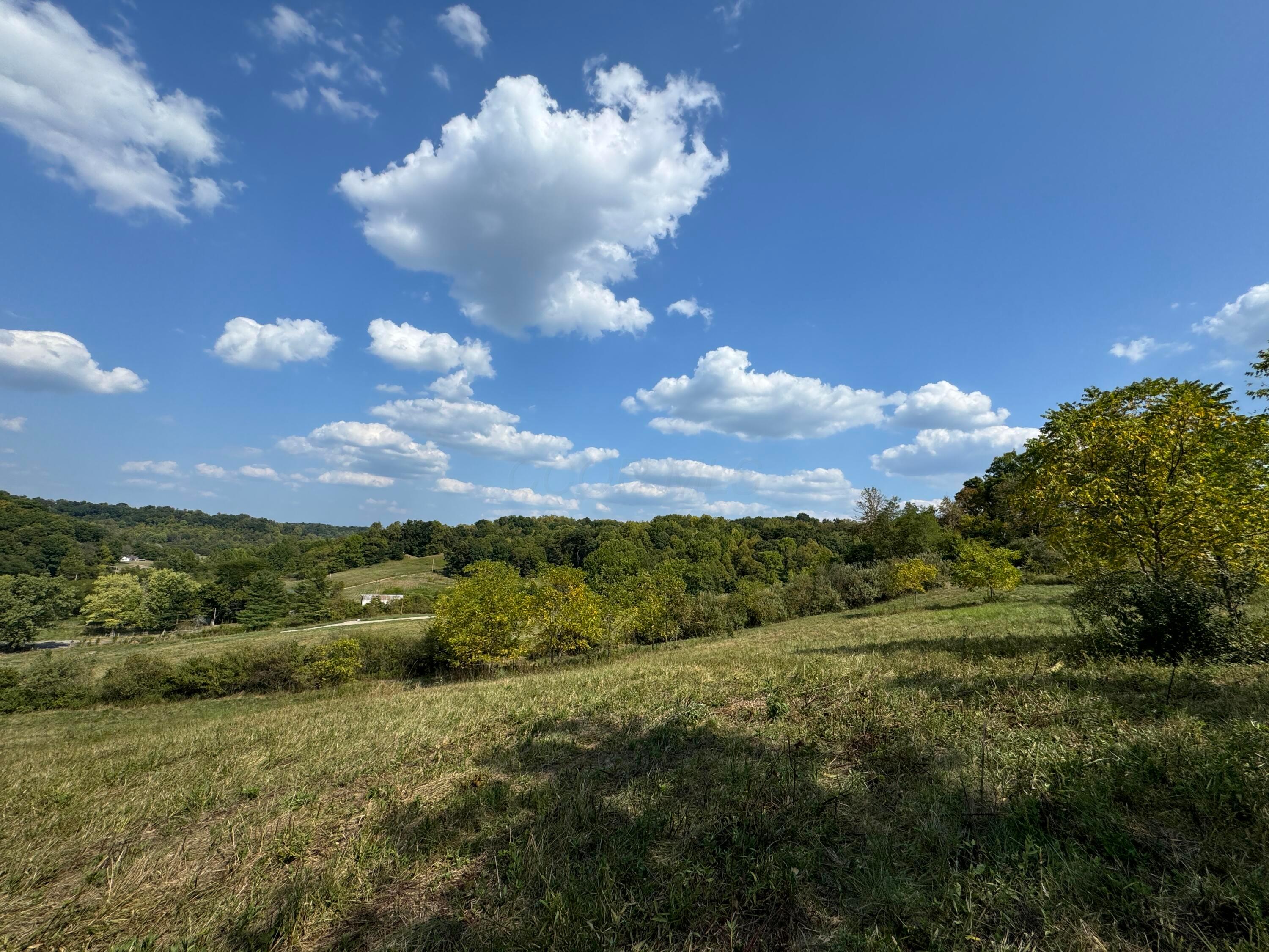 41455 State Route 684 #TRACT 11 ALBANY WOODS, Albany, Ohio image 24