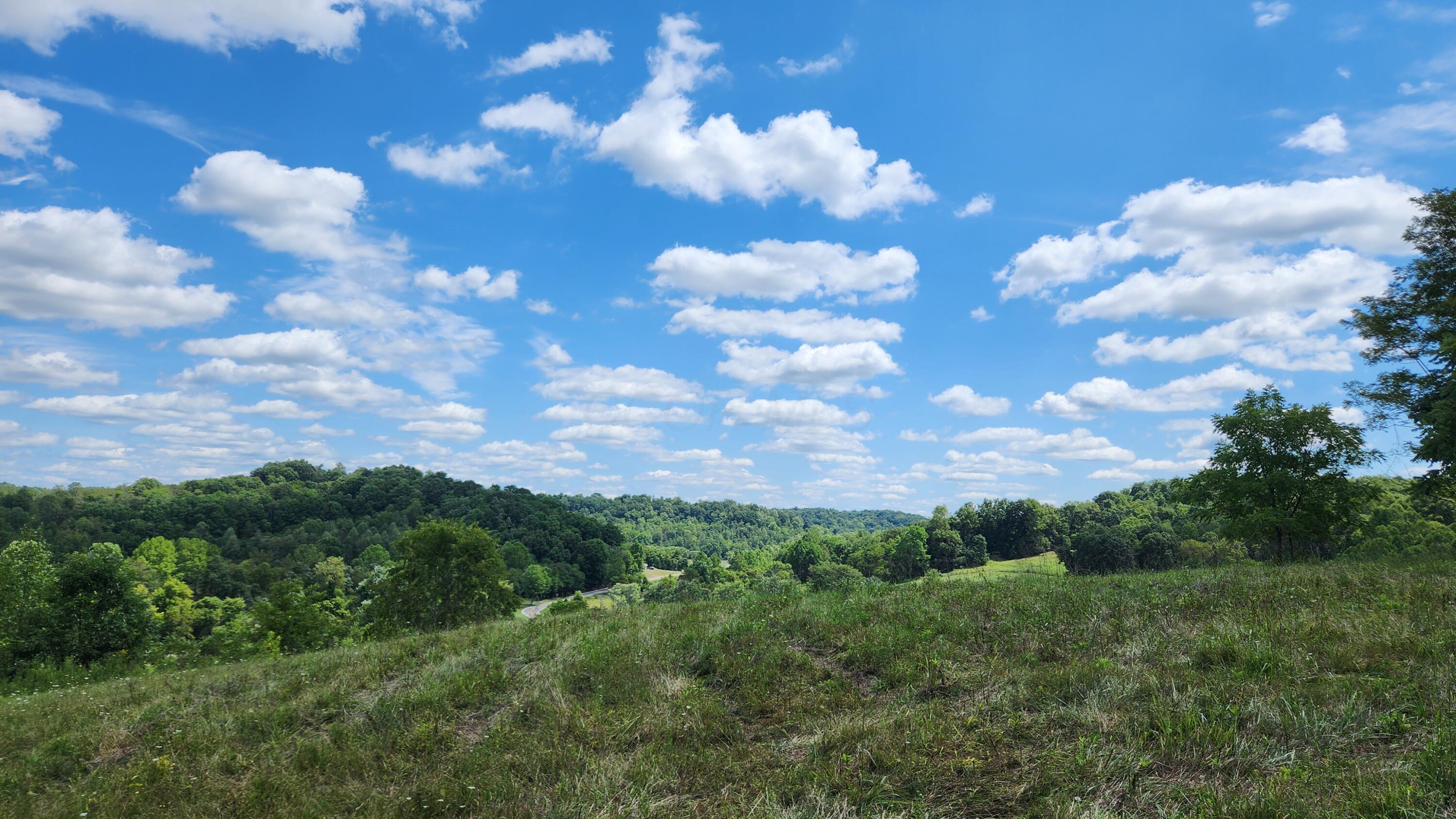 41455 State Route 684 #TRACT 11 ALBANY WOODS, Albany, Ohio image 19