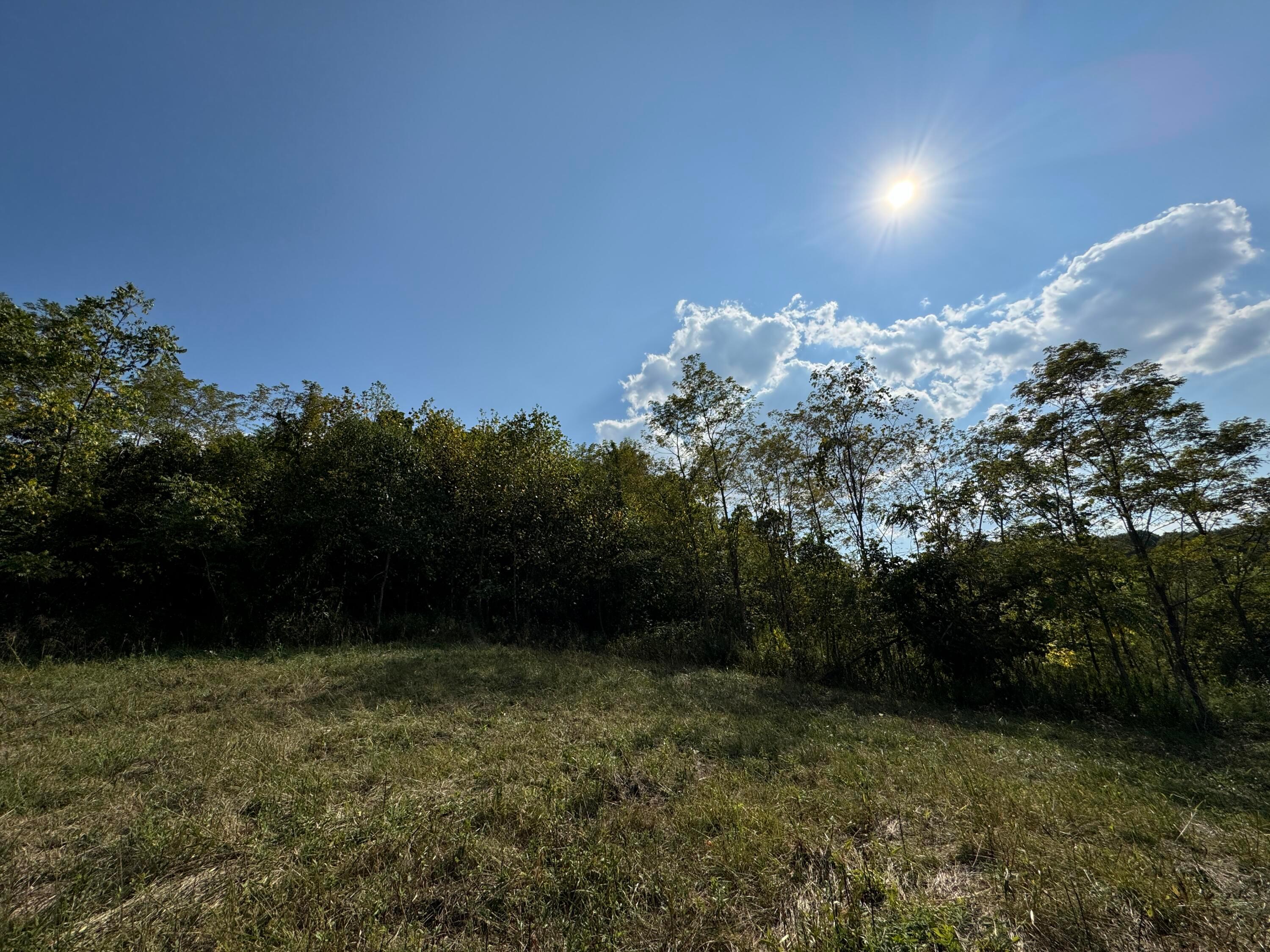 41455 State Route 684 #TRACT 11 ALBANY WOODS, Albany, Ohio image 28
