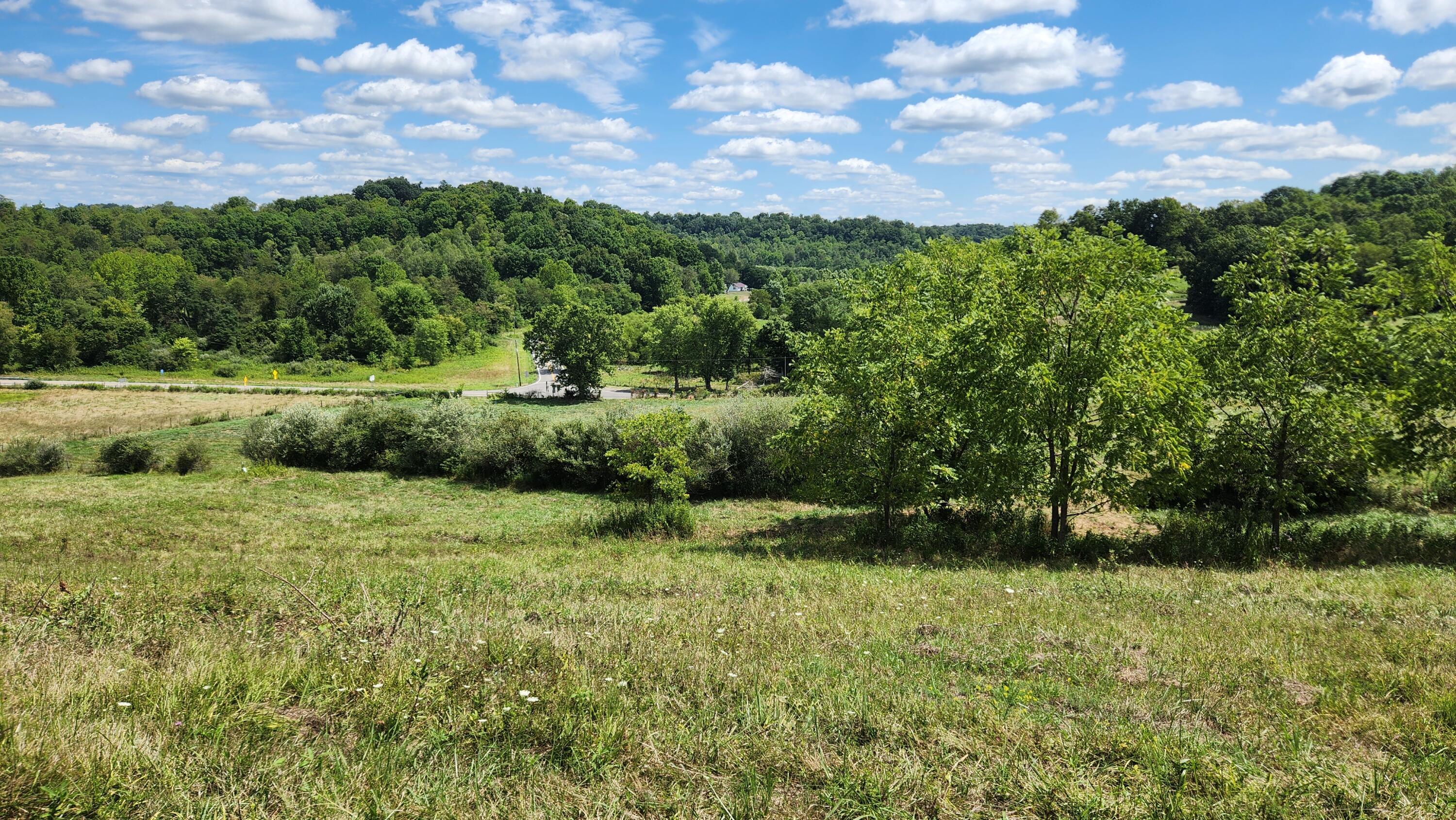 41455 State Route 684 #TRACT 11 ALBANY WOODS, Albany, Ohio image 14