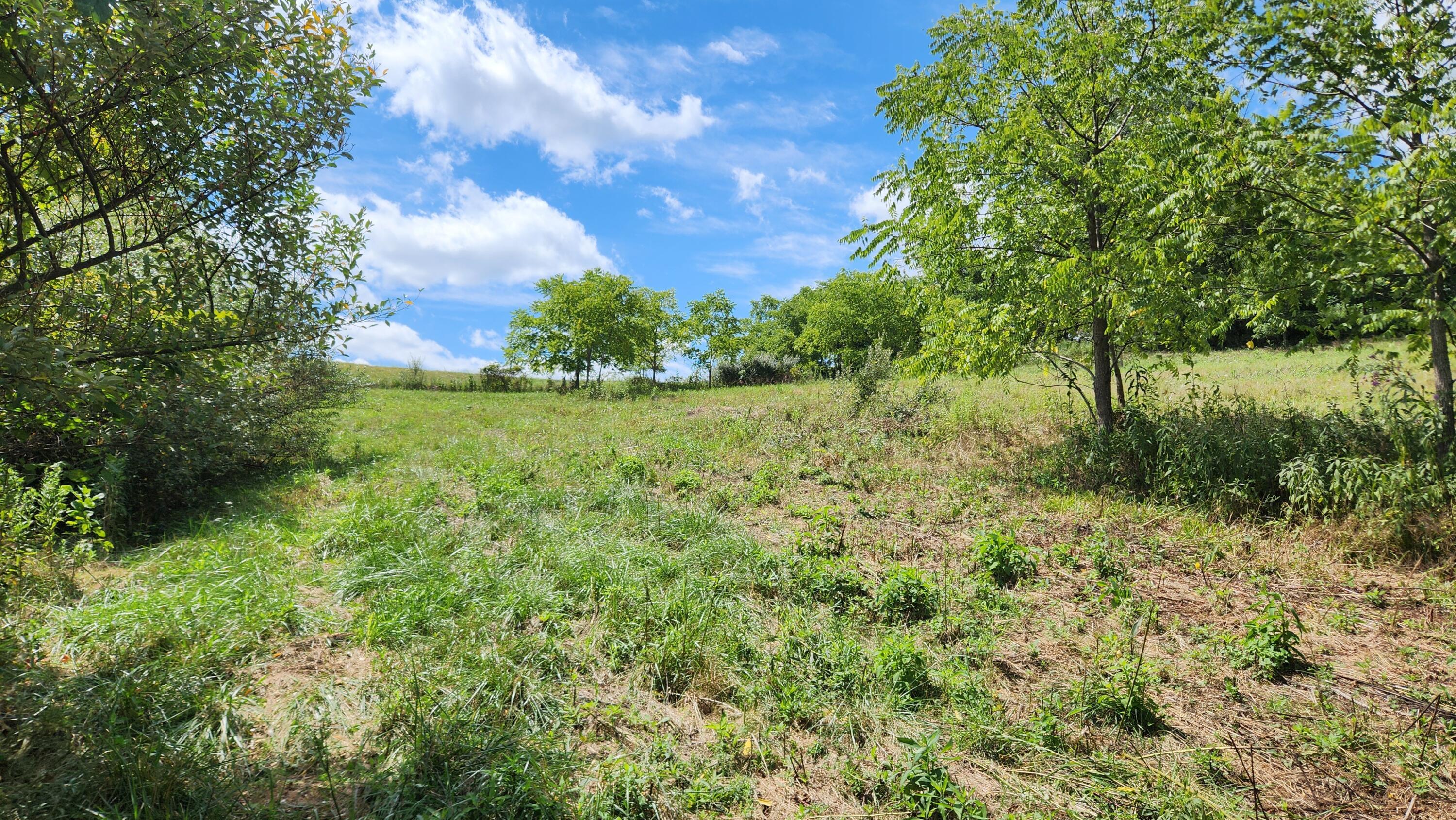 41455 State Route 684 #TRACT 11 ALBANY WOODS, Albany, Ohio image 12