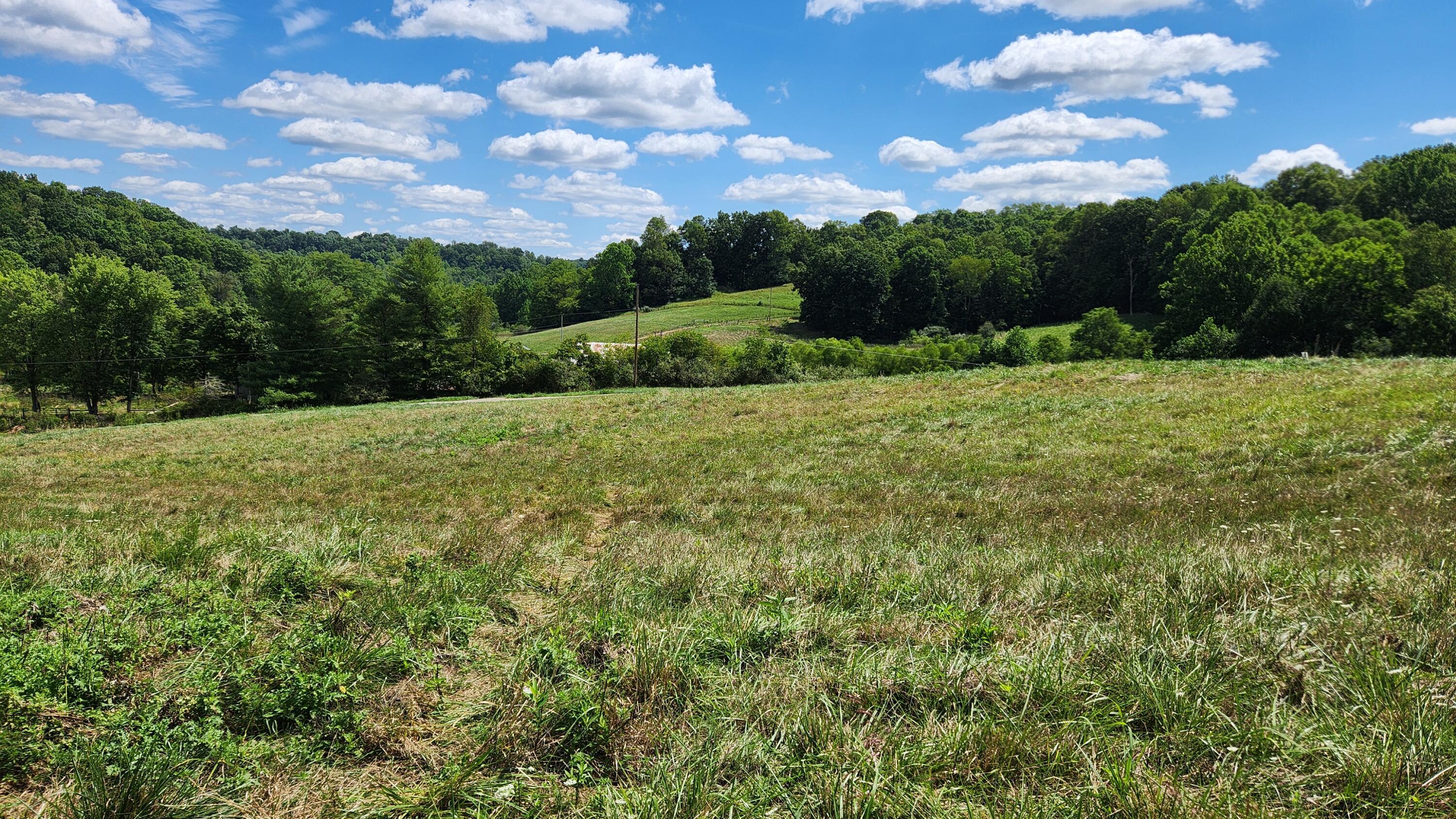 41455 State Route 684 #TRACT 11 ALBANY WOODS, Albany, Ohio image 10