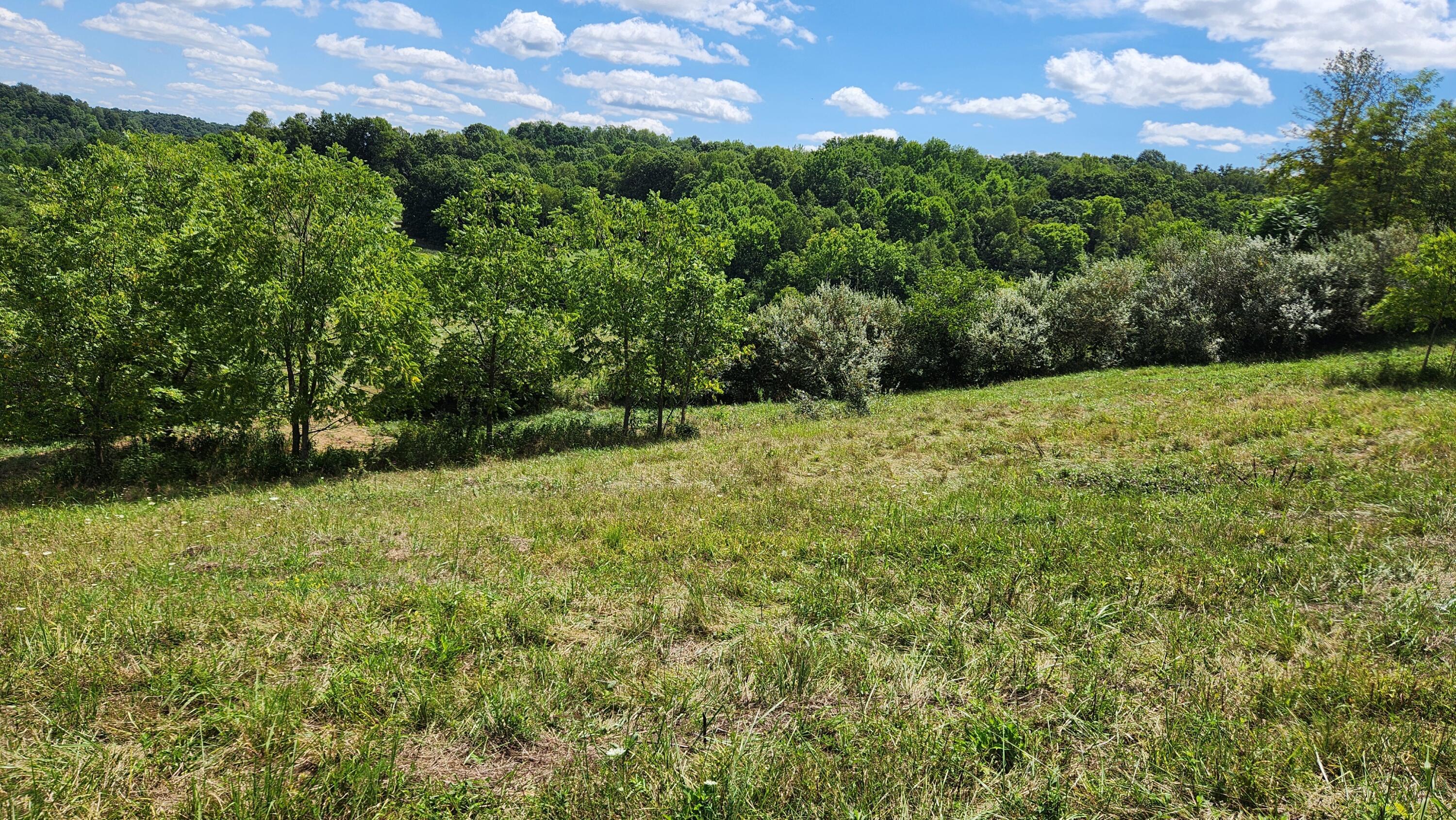 41455 State Route 684 #TRACT 11 ALBANY WOODS, Albany, Ohio image 13