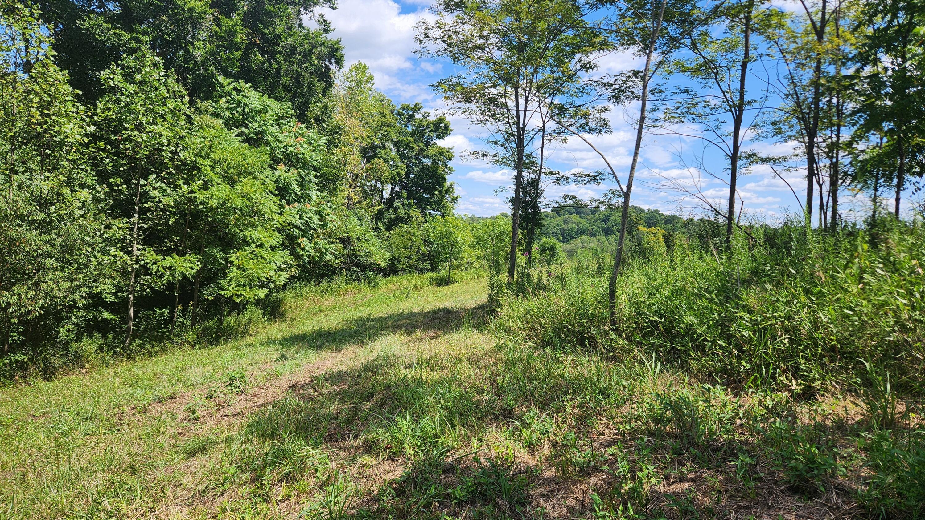 41455 State Route 684 #TRACT 11 ALBANY WOODS, Albany, Ohio image 20