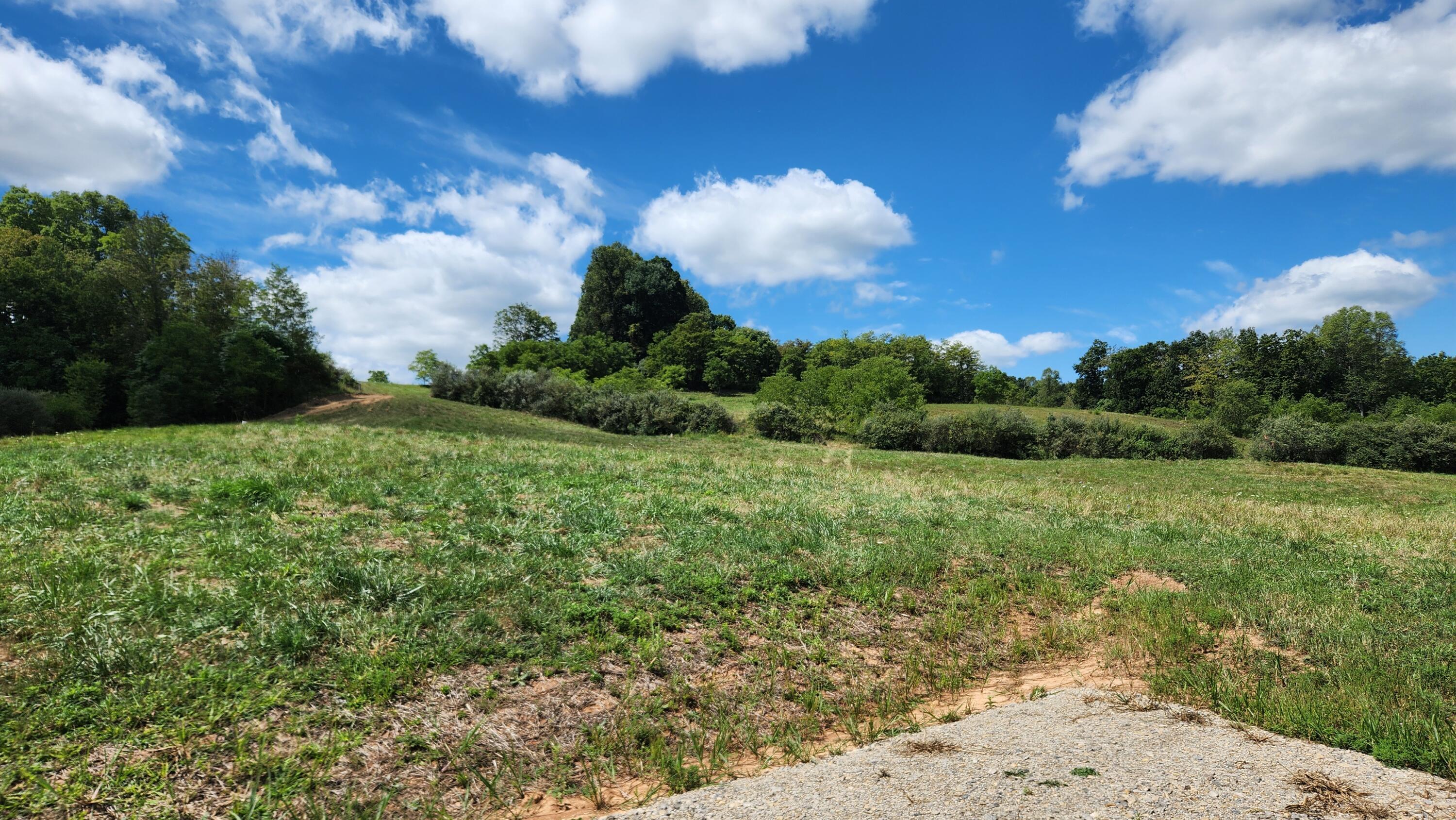 41455 State Route 684 #TRACT 11 ALBANY WOODS, Albany, Ohio image 6