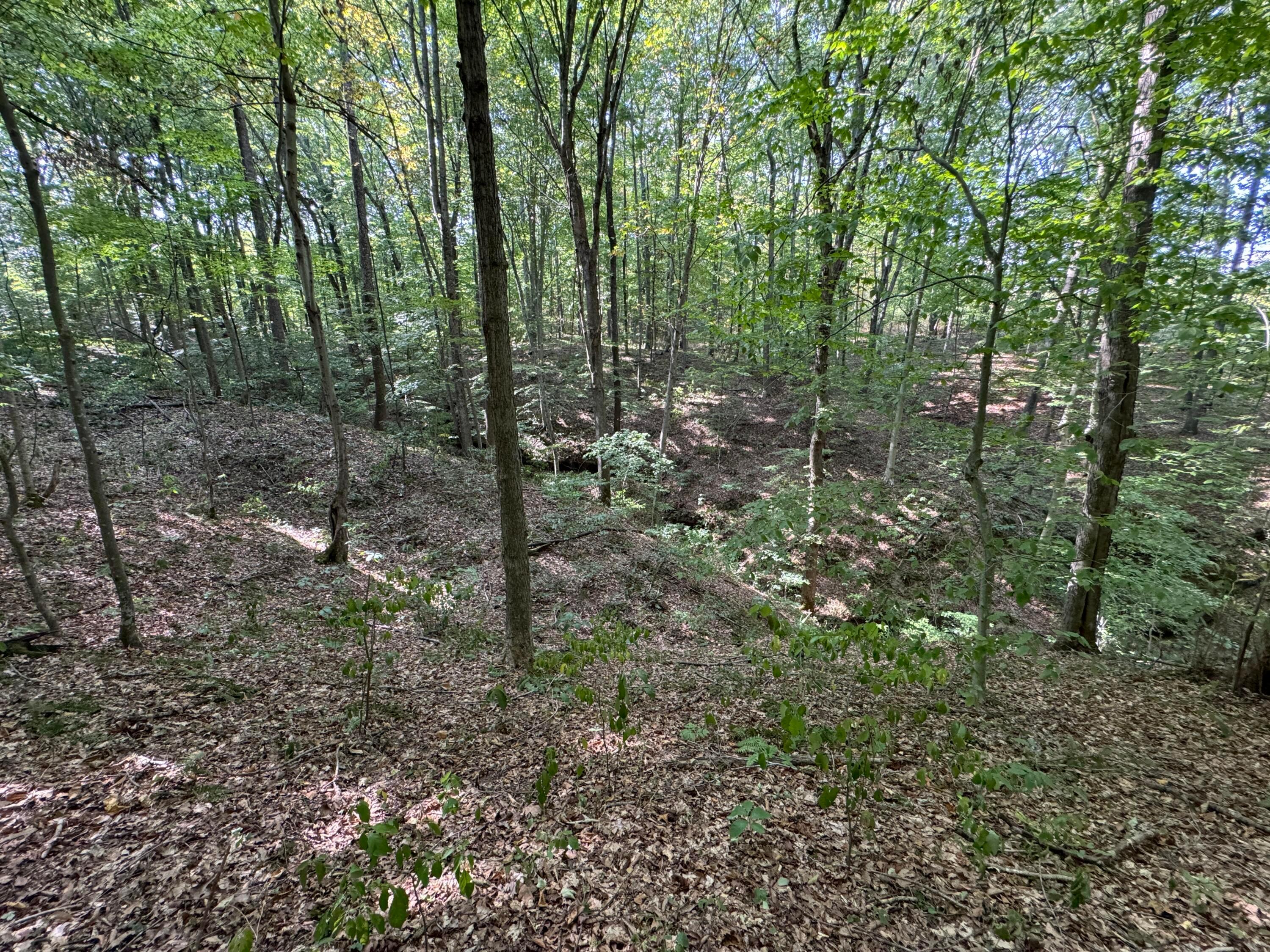41455 State Route 684 #TRACT 11 ALBANY WOODS, Albany, Ohio image 33