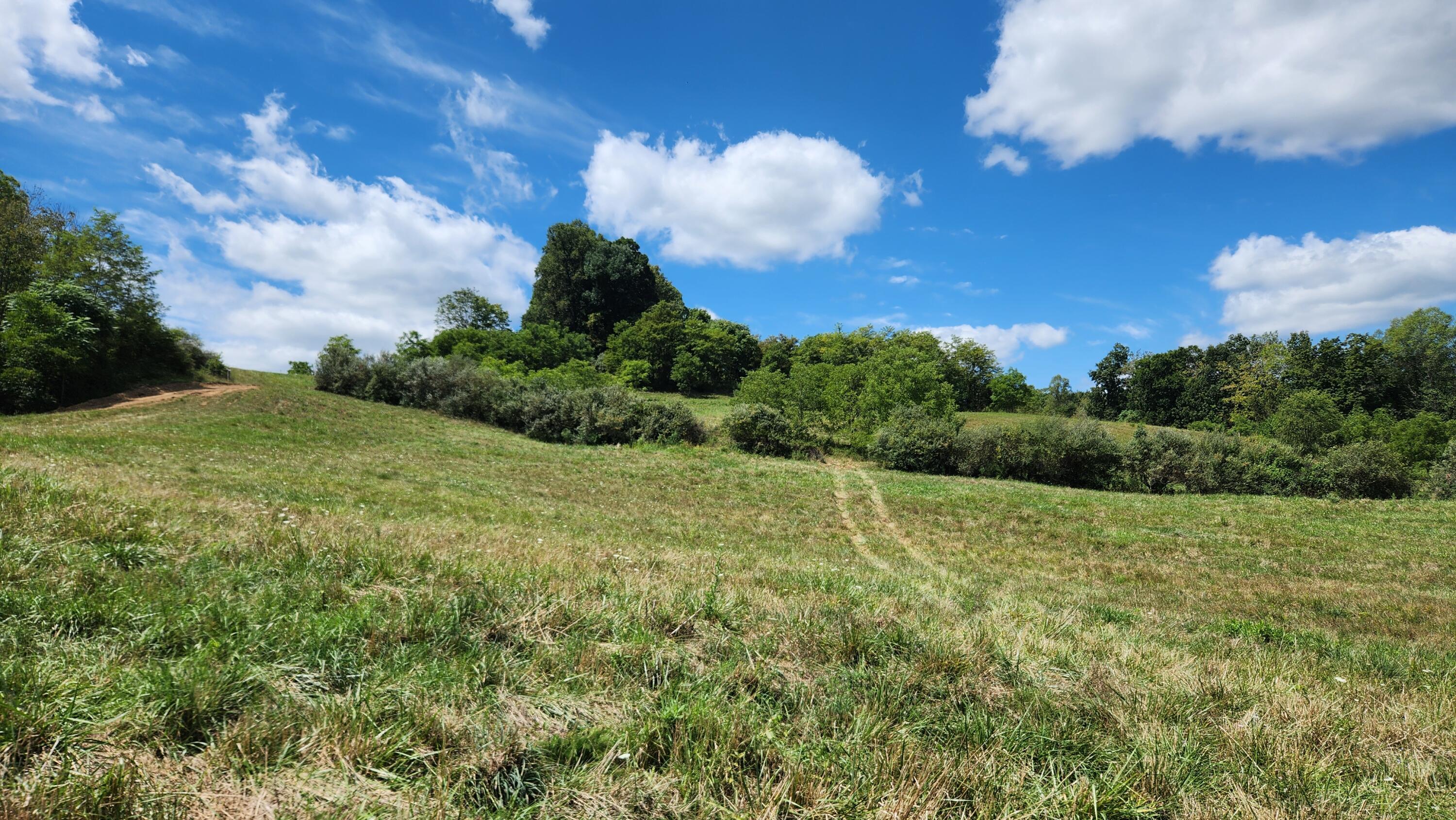 41455 State Route 684 #TRACT 11 ALBANY WOODS, Albany, Ohio image 9