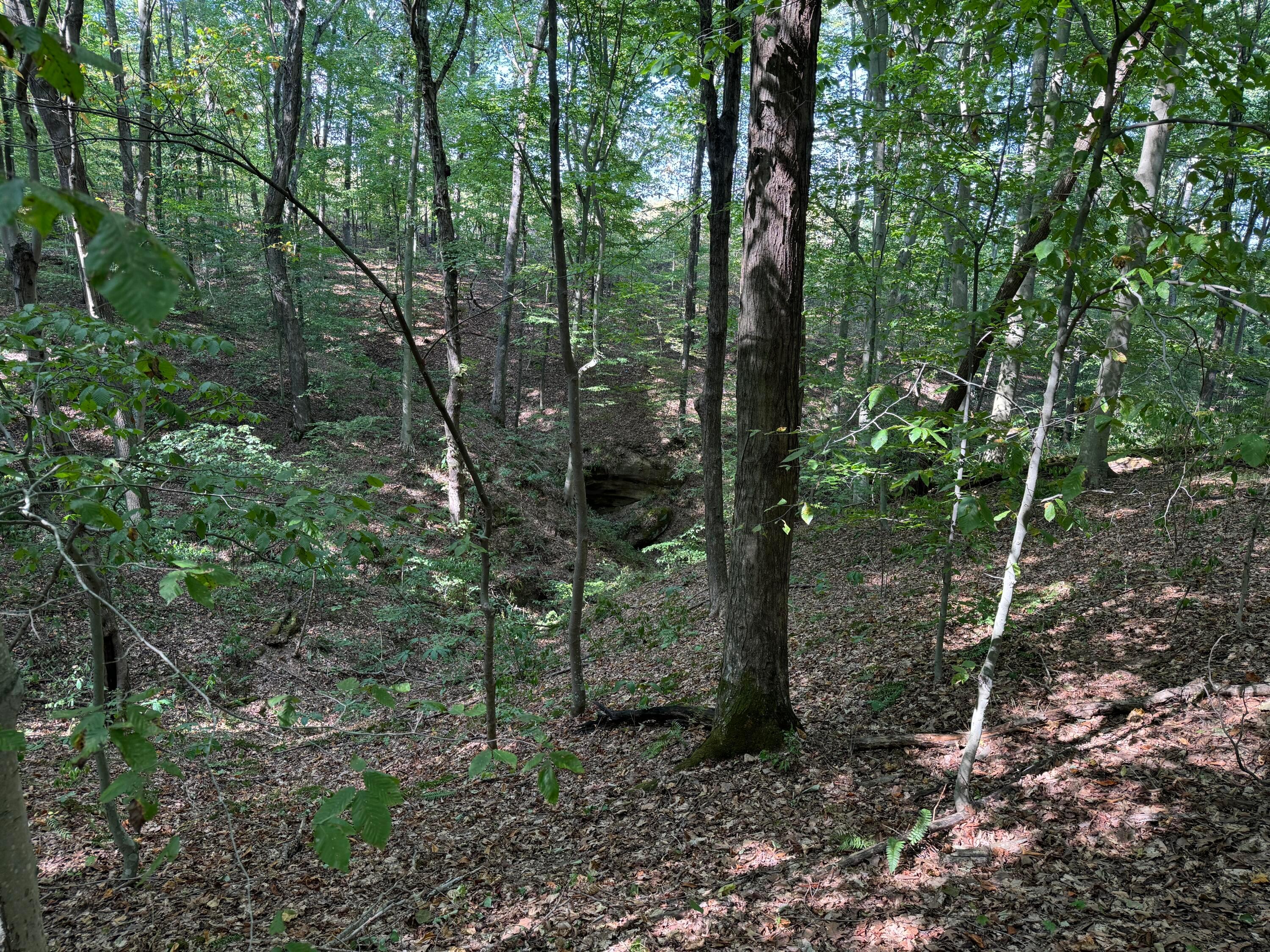 41455 State Route 684 #TRACT 11 ALBANY WOODS, Albany, Ohio image 30