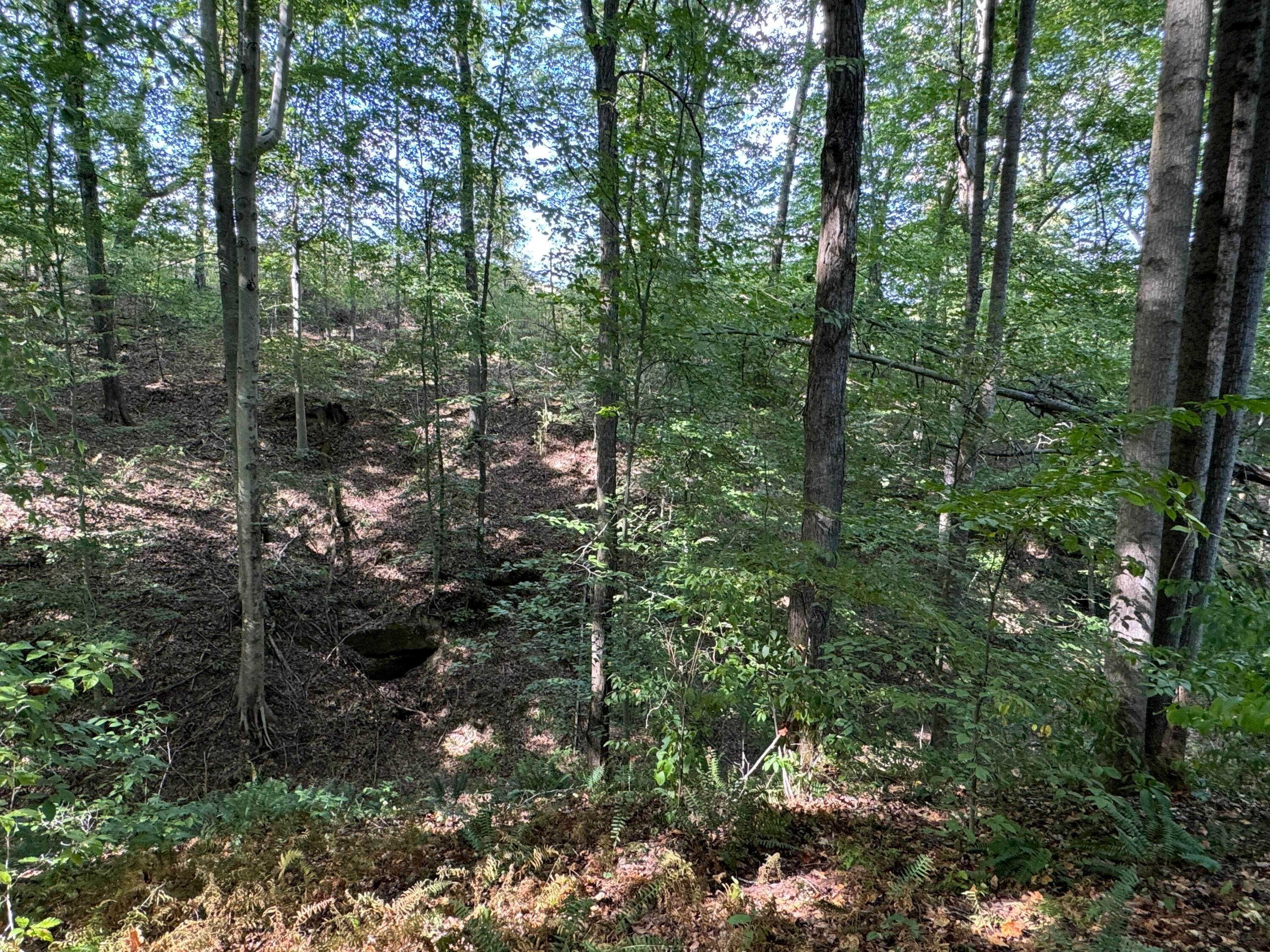 41455 State Route 684 #TRACT 11 ALBANY WOODS, Albany, Ohio image 37