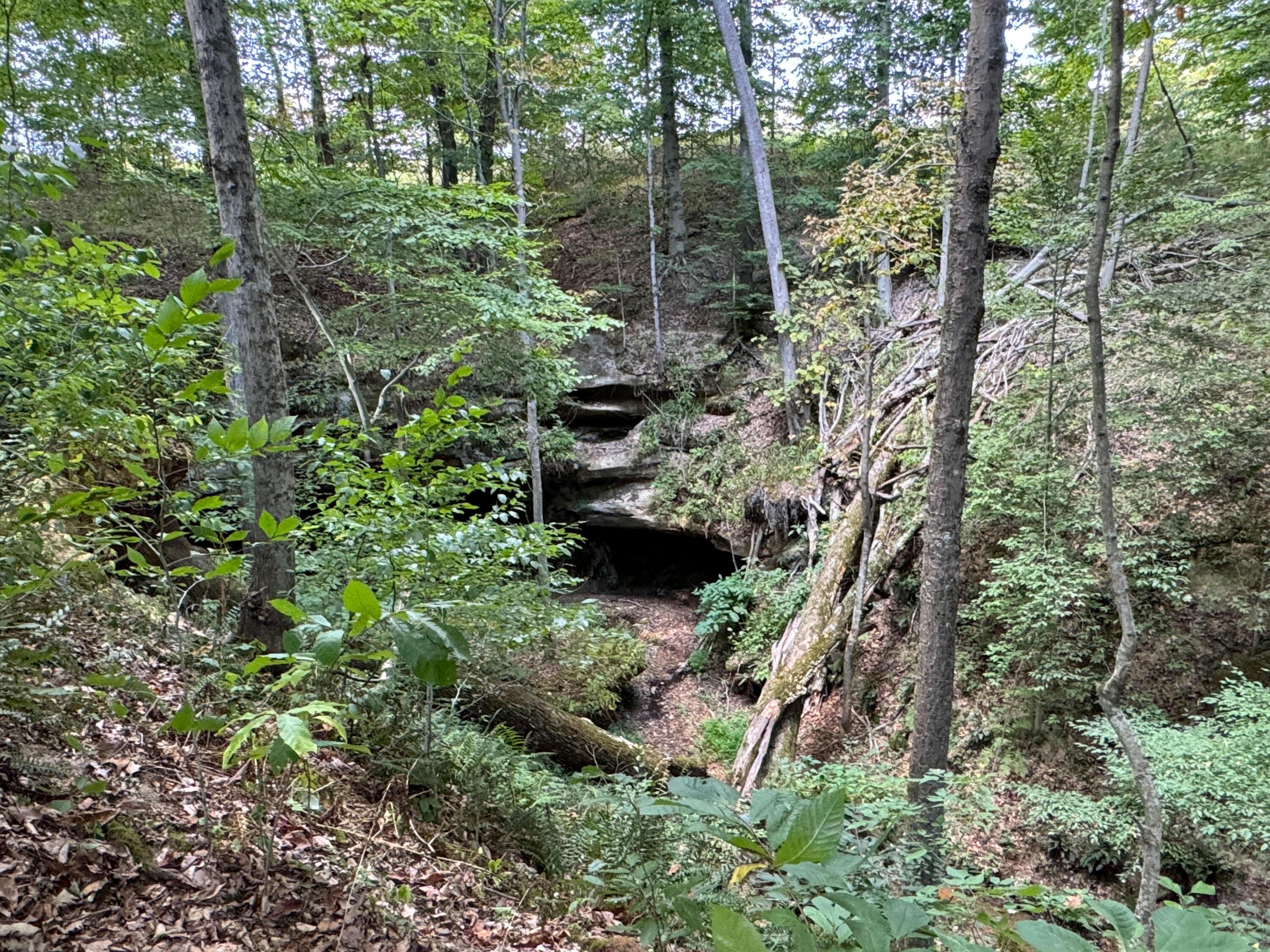 41455 State Route 684 #TRACT 11 ALBANY WOODS, Albany, Ohio image 3