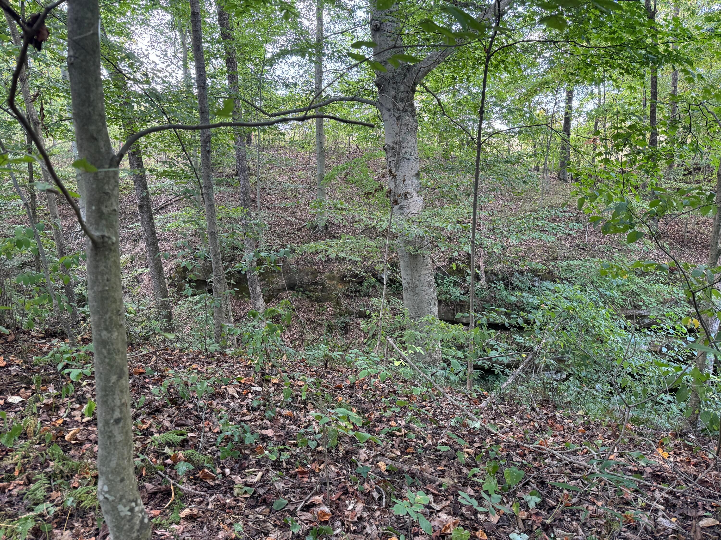 41455 State Route 684 #TRACT 11 ALBANY WOODS, Albany, Ohio image 43