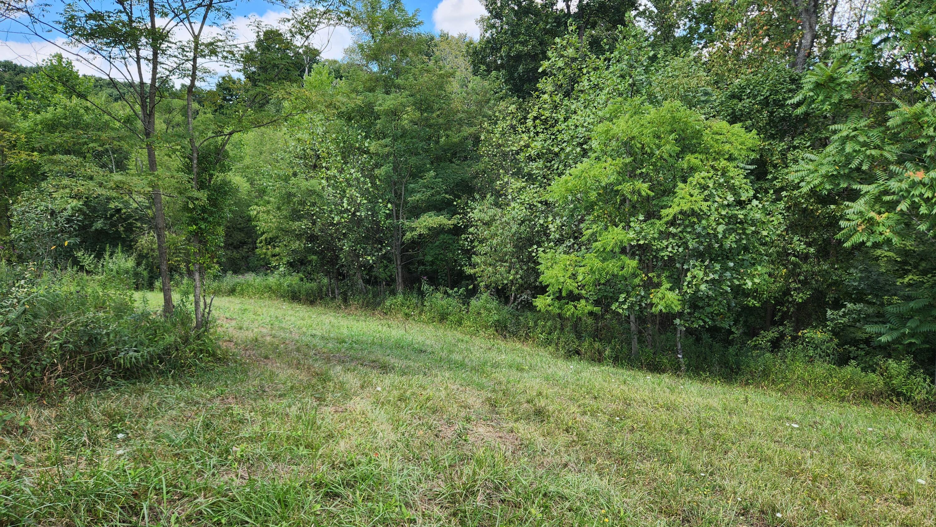 41455 State Route 684 #TRACT 11 ALBANY WOODS, Albany, Ohio image 18