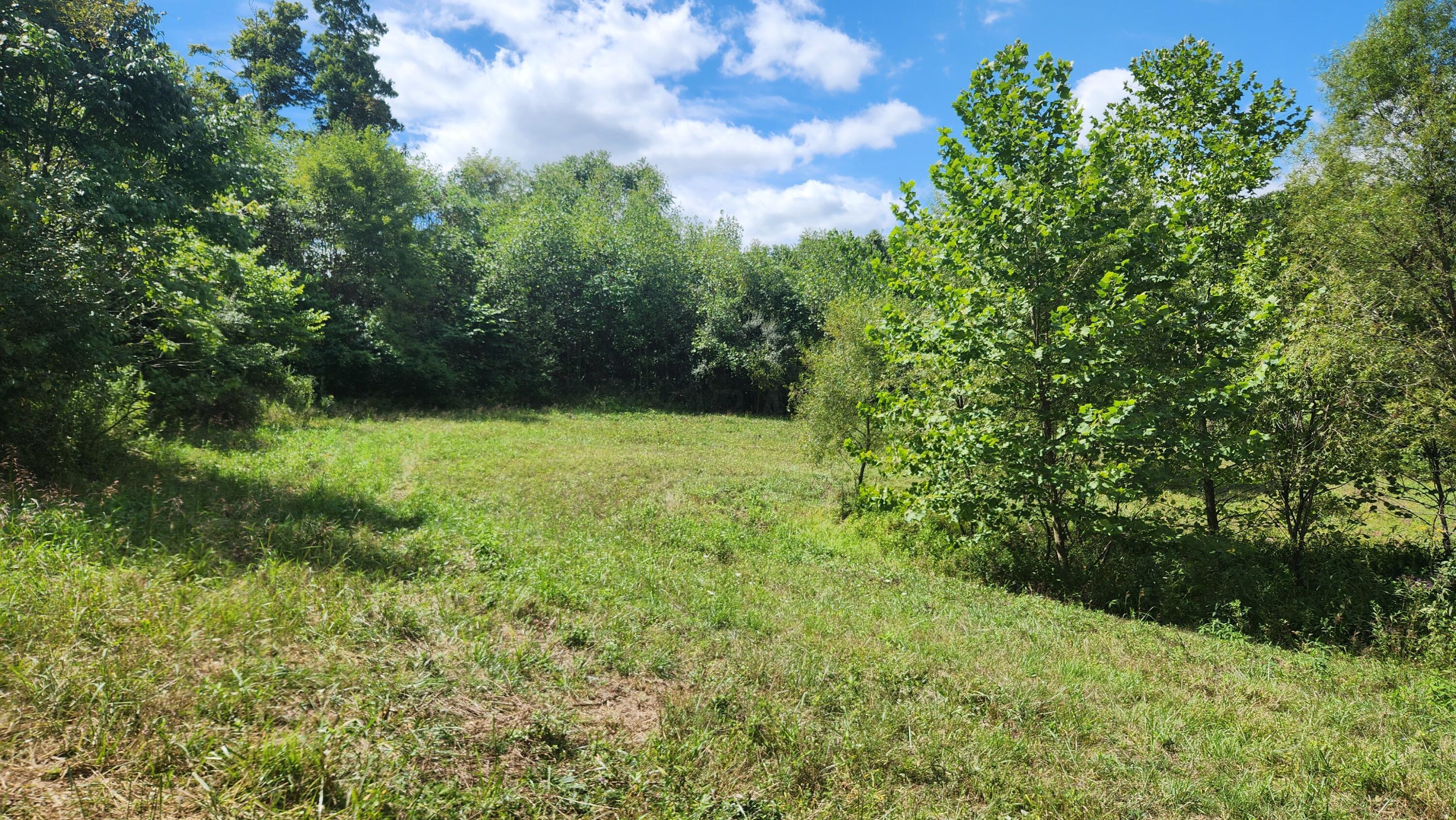 41455 State Route 684 #TRACT 11 ALBANY WOODS, Albany, Ohio image 21
