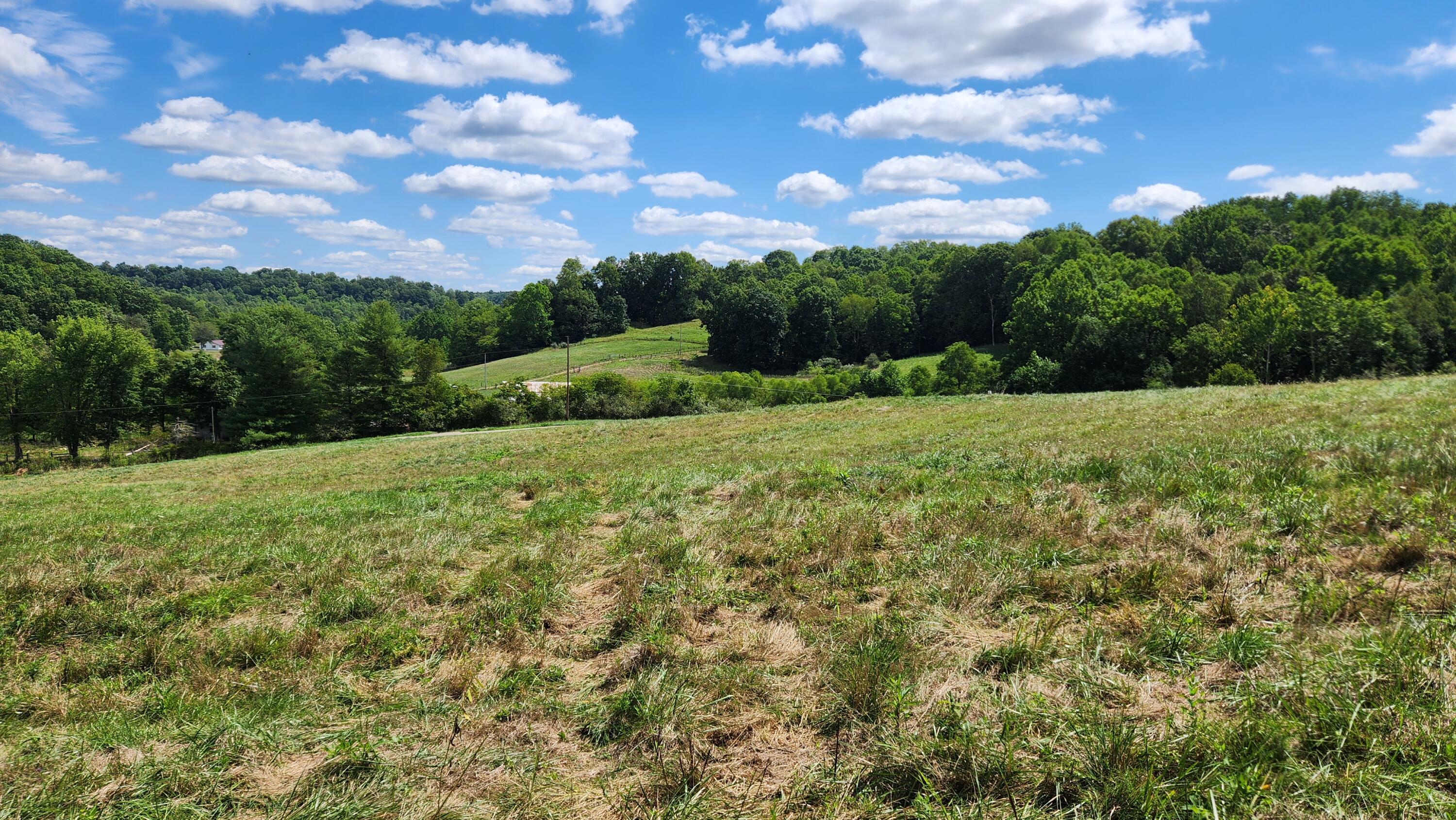 41455 State Route 684 #TRACT 11 ALBANY WOODS, Albany, Ohio image 11
