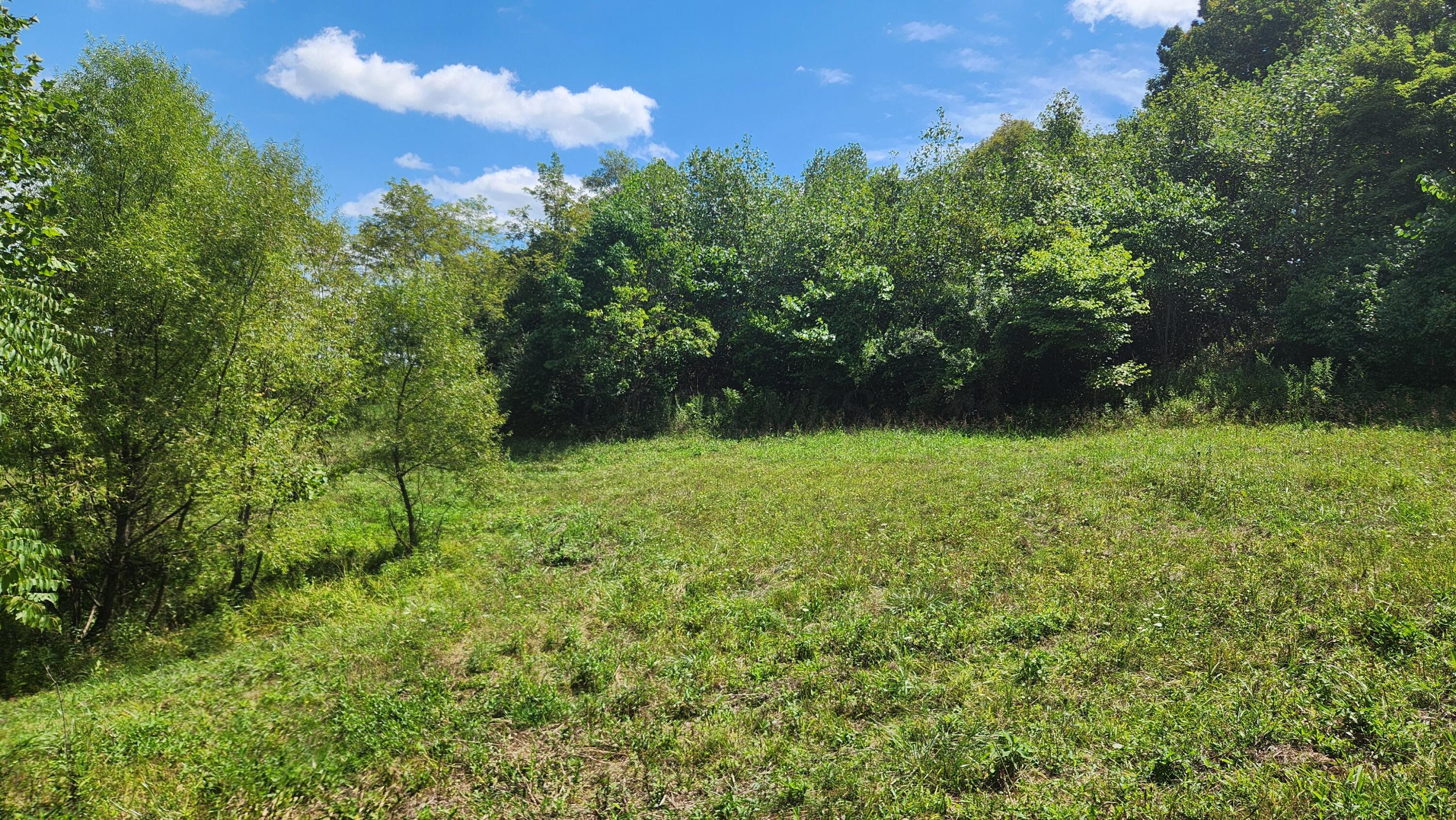 41455 State Route 684 #TRACT 11 ALBANY WOODS, Albany, Ohio image 23