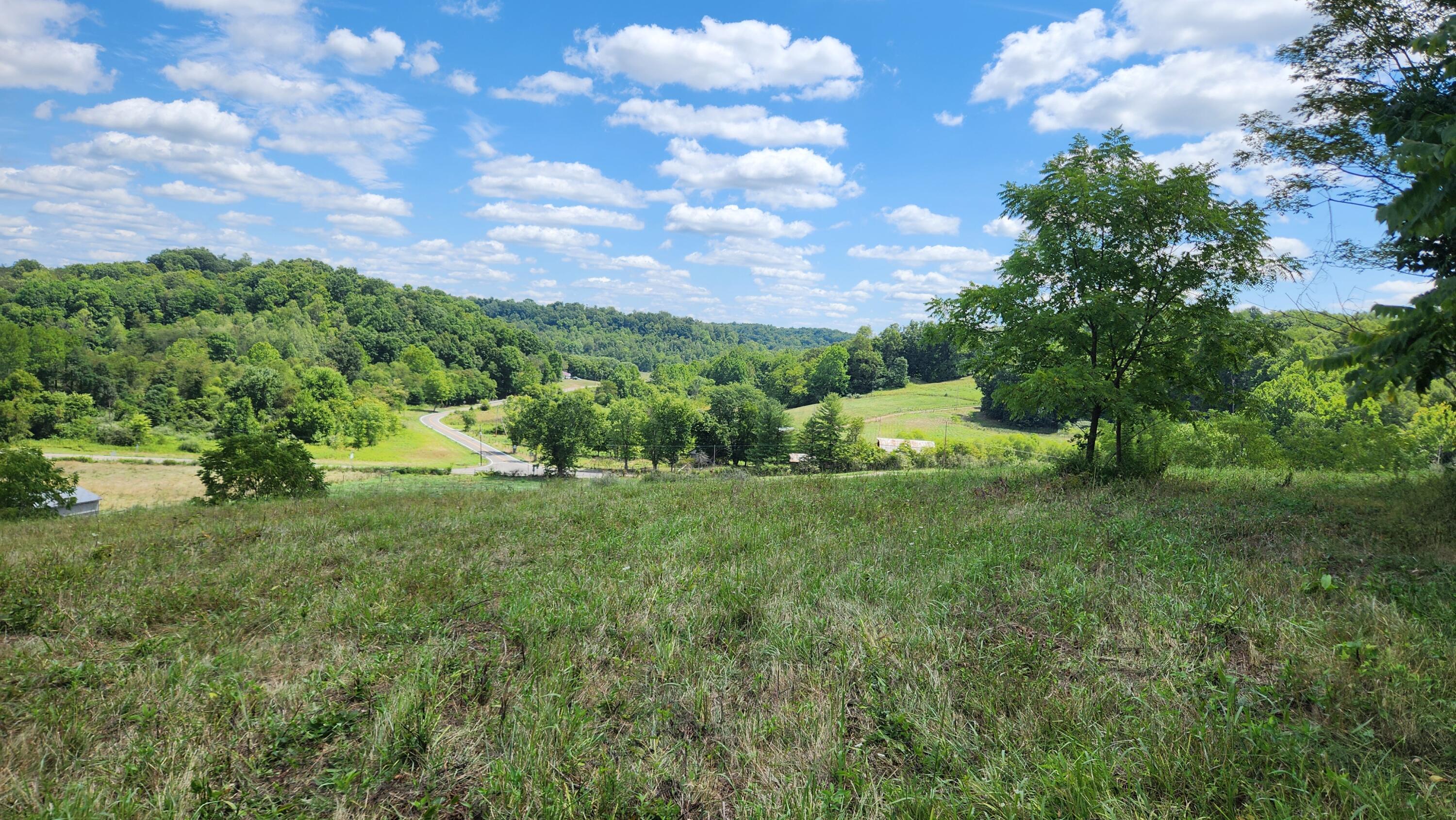 41455 State Route 684 #TRACT 11 ALBANY WOODS, Albany, Ohio image 16