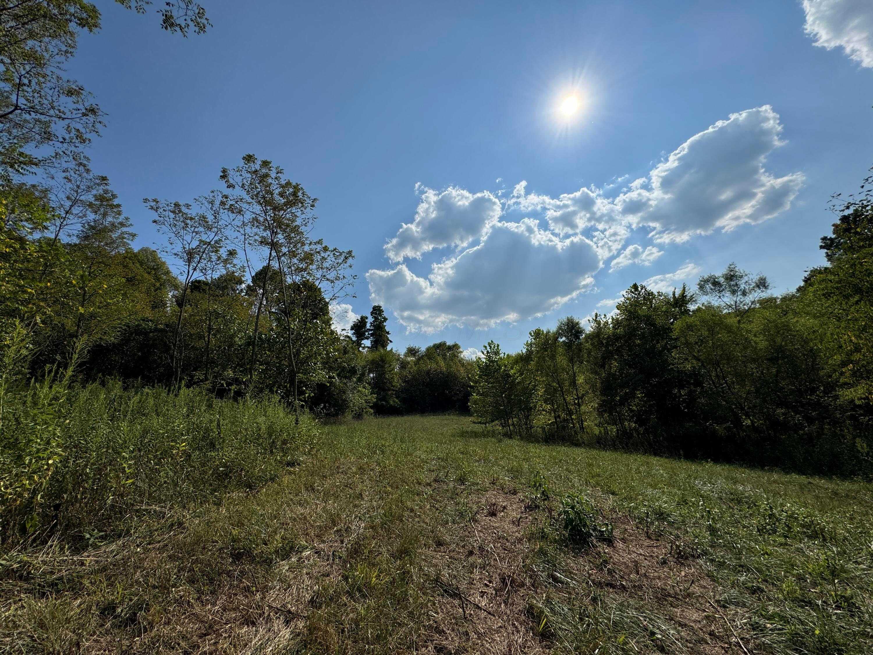41455 State Route 684 #TRACT 11 ALBANY WOODS, Albany, Ohio image 29