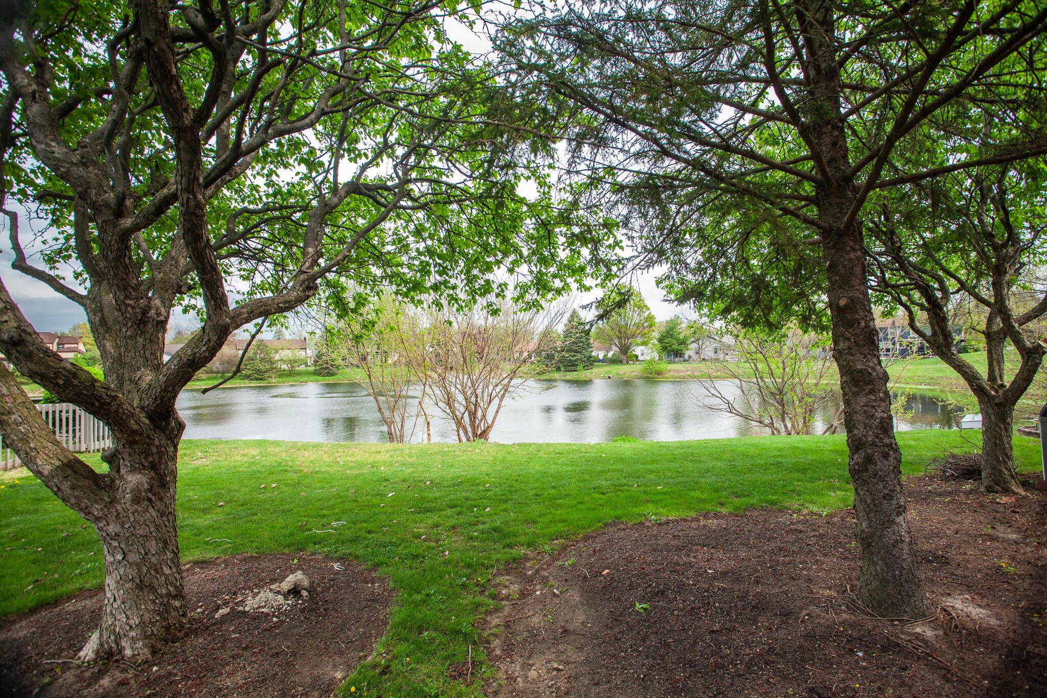 5446 Baneberry Avenue # 16A