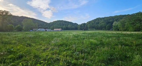 Tiny photo for 22983 Big Pine, Laurelville, OH 43135 (MLS # 226021603)