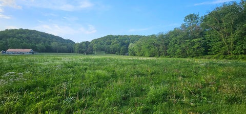 Tiny photo for 22983 Big Pine, Laurelville, OH 43135 (MLS # 226021603)