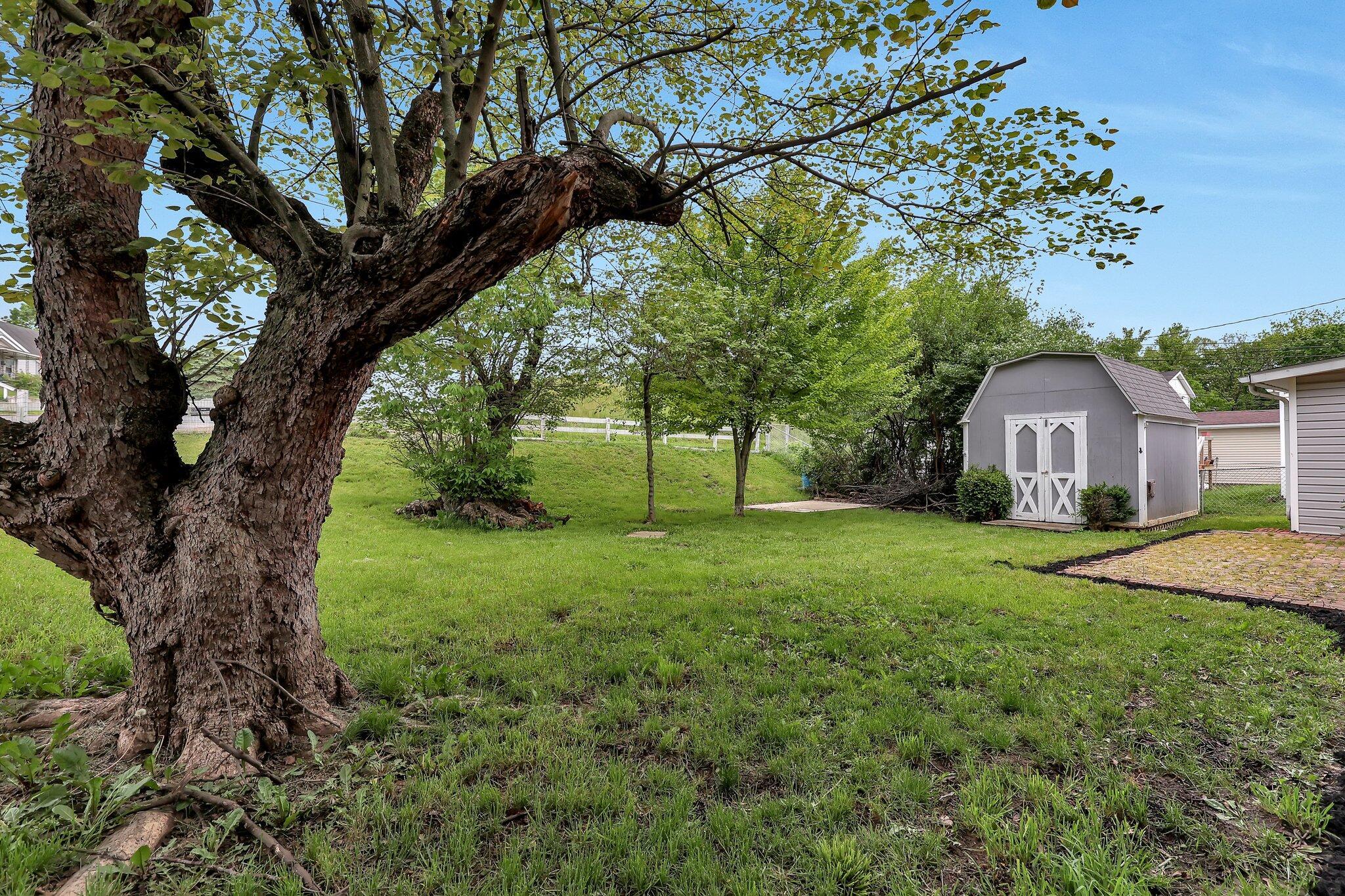 404 Stella Avenue, Circleville, Ohio image 16